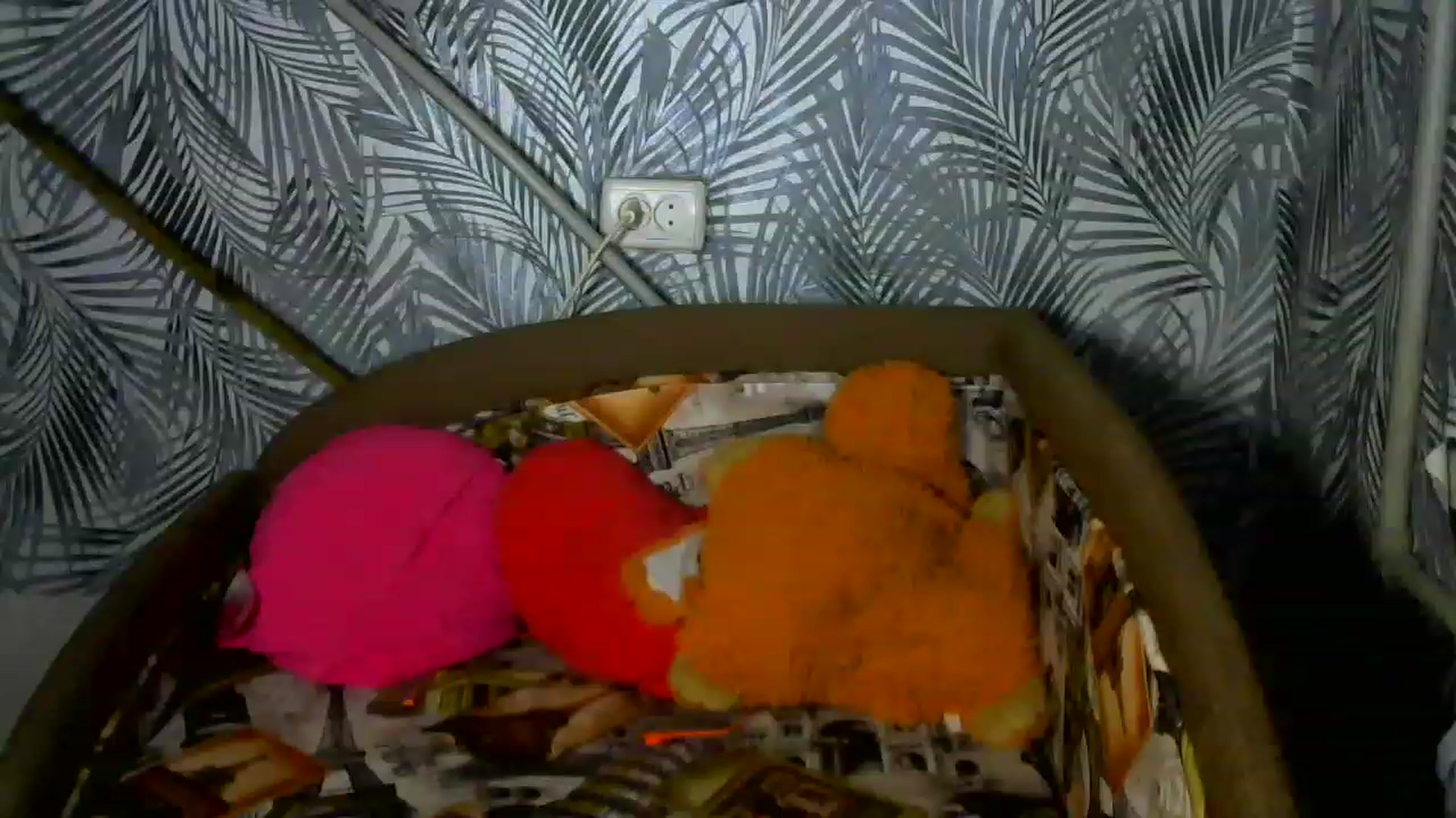 Gallery image thumbnail from Melinda_sweet's myfreecams stream on, 01/18/2023, 20:48 image 17 of 20