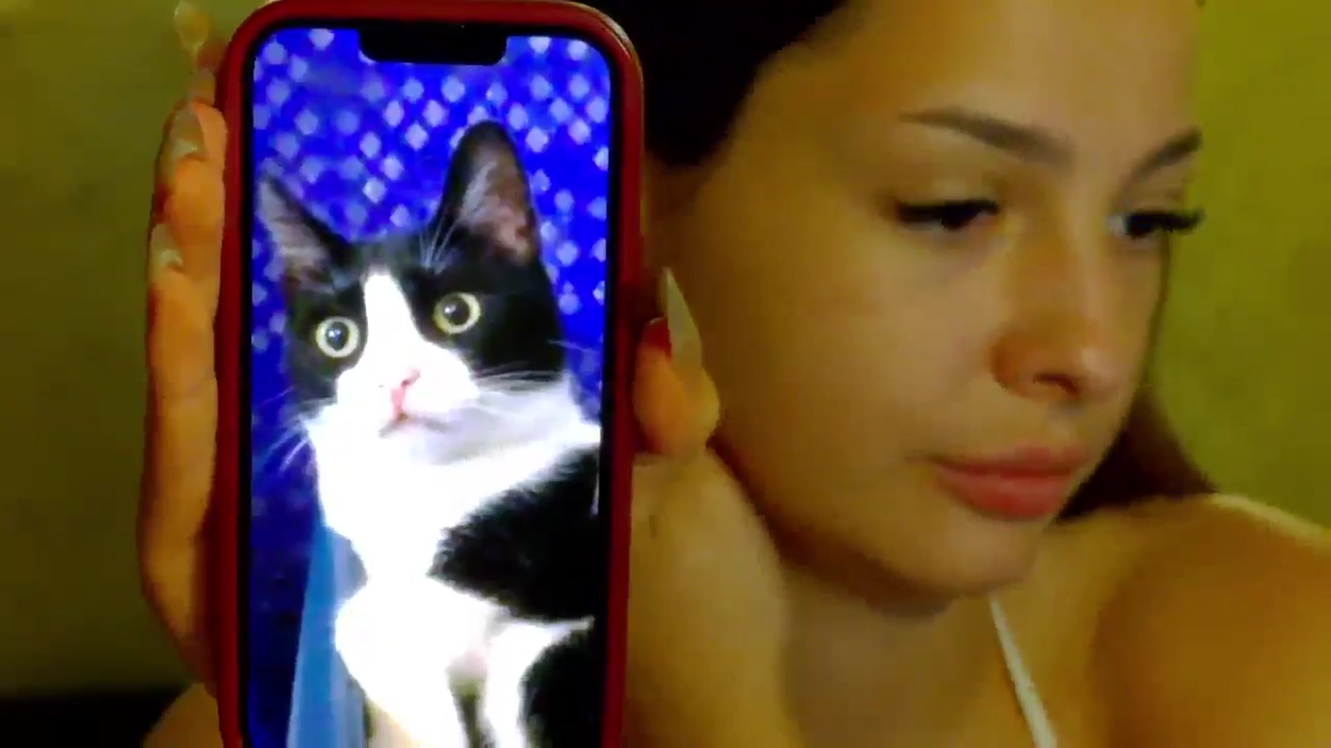 Gallery image thumbnail from MelisRoom's myfreecams stream on, 08/16/2025, 19:05 image 17 of 20