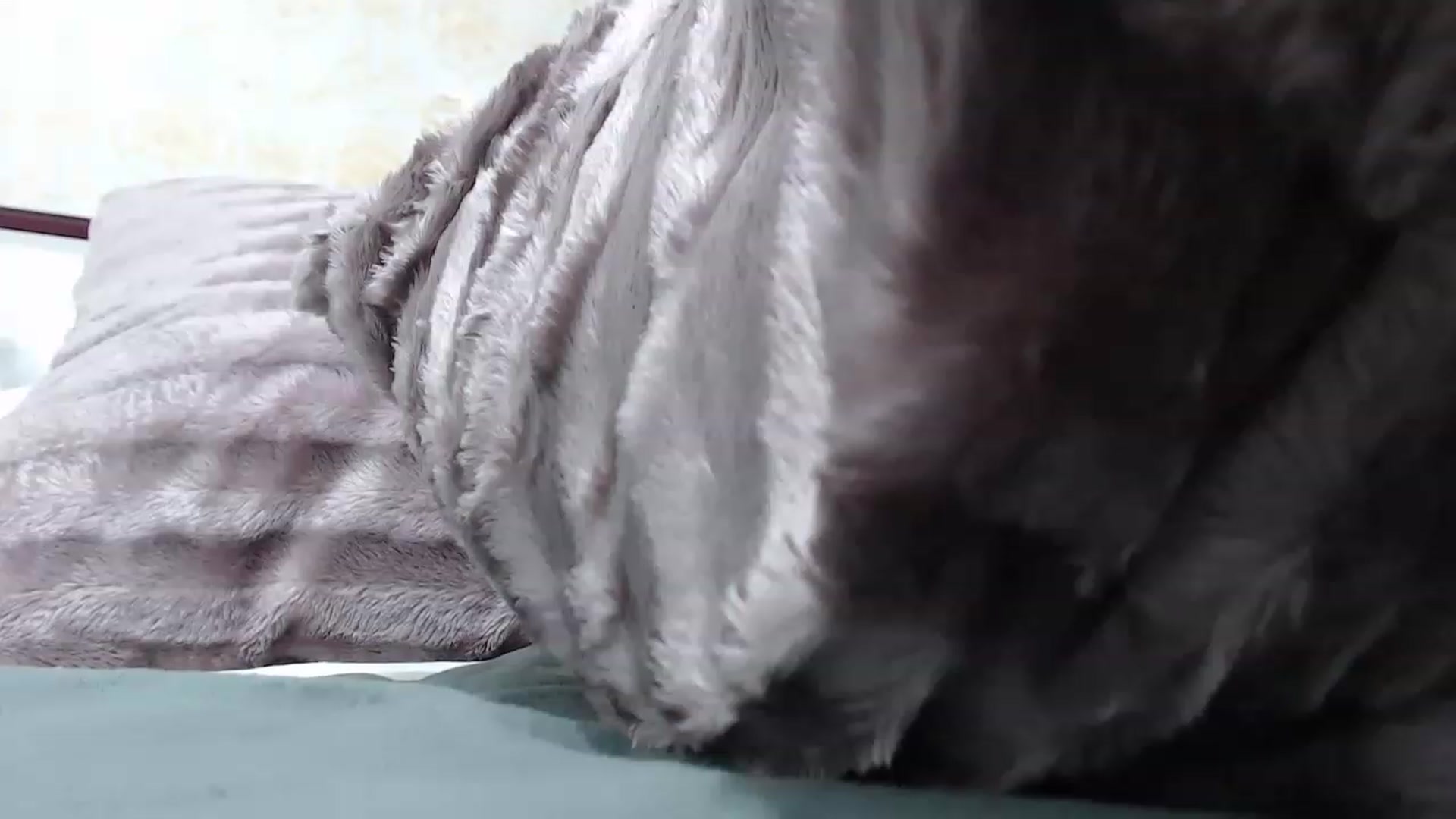 Gallery image thumbnail from MelissaBby's myfreecams stream on, 11/21/2022, 21:15 image 20 of 20