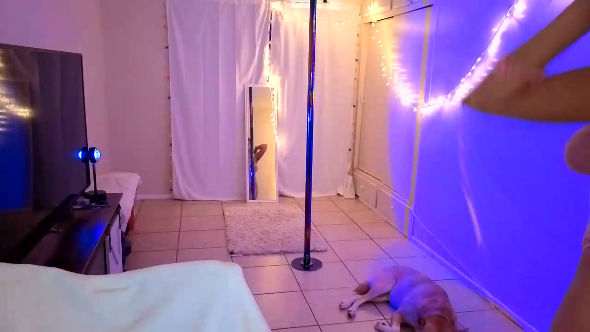 Gallery image thumbnail from MelissaGee's myfreecams stream on, 09/02/2026, 24:56 image 8 of 20