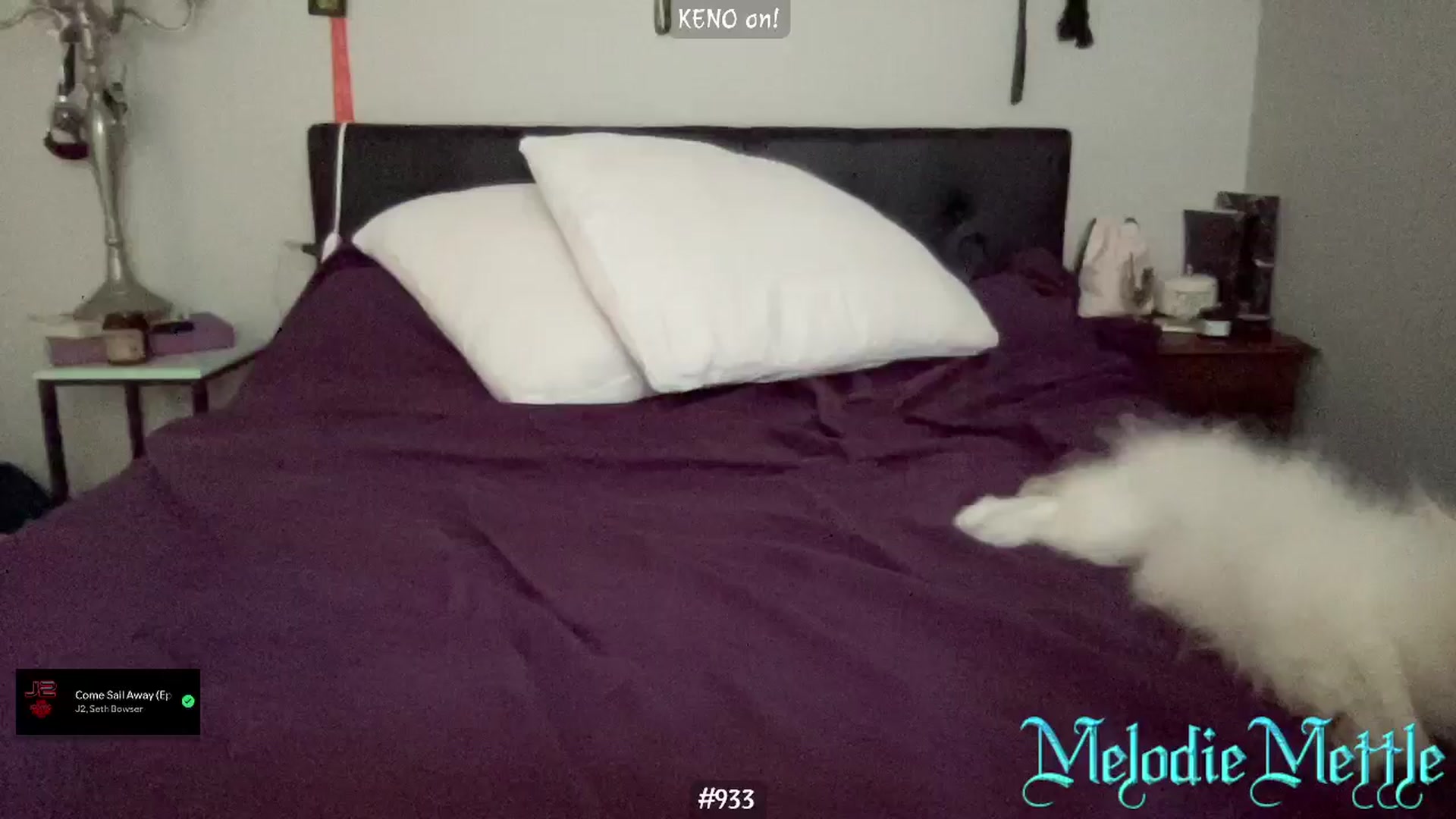 Gallery image thumbnail from MelodieMettle's myfreecams stream on, 08/18/2024, 19:14 image 3 of 20