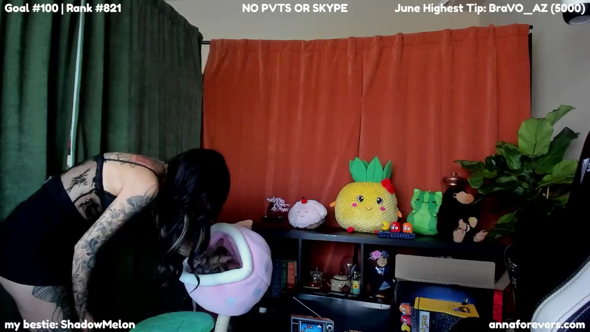 Gallery image thumbnail from Melon's myfreecams stream on, 06/17/2024, 02:07 image 7 of 20