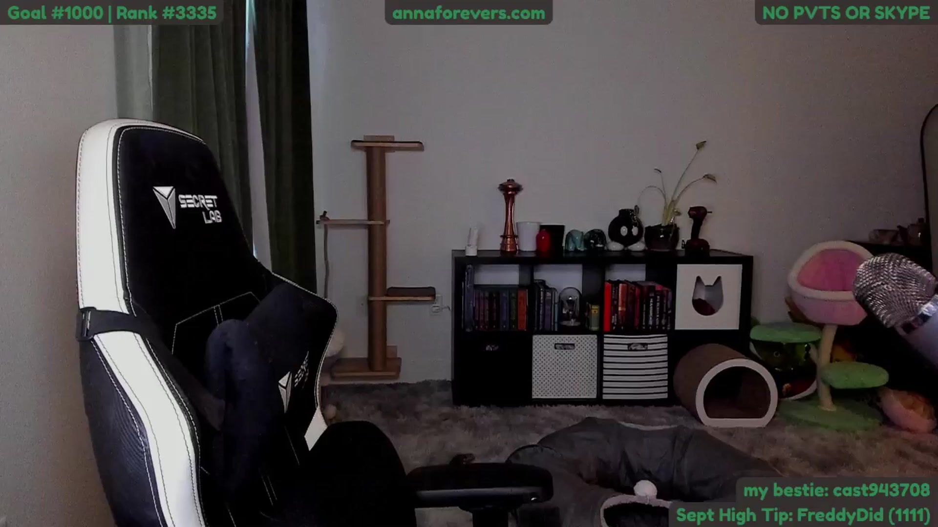 Gallery image thumbnail from Melon's myfreecams stream on, 09/18/2024, 03:03 image 2 of 20
