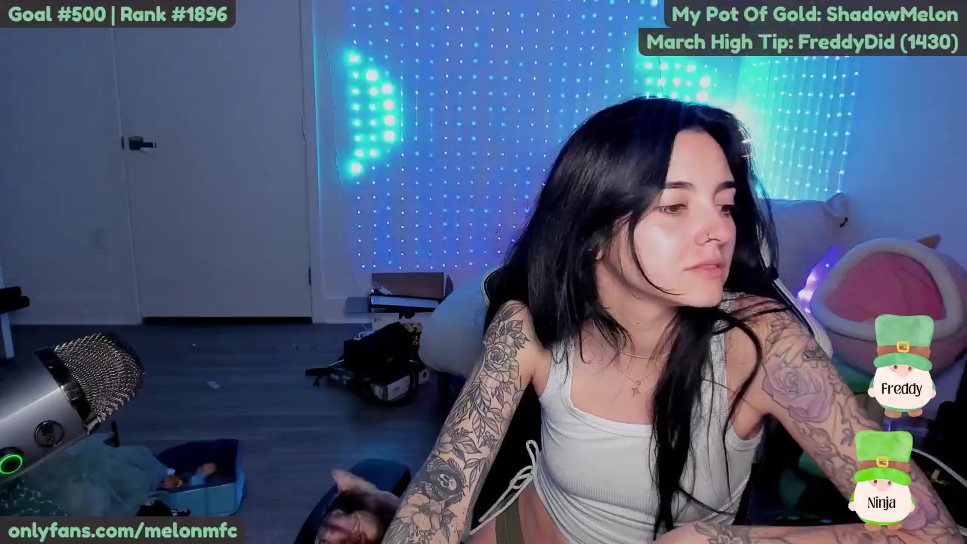 Gallery image thumbnail from Melon's myfreecams stream on, 03/13/2025, 02:14 image 1 of 20
