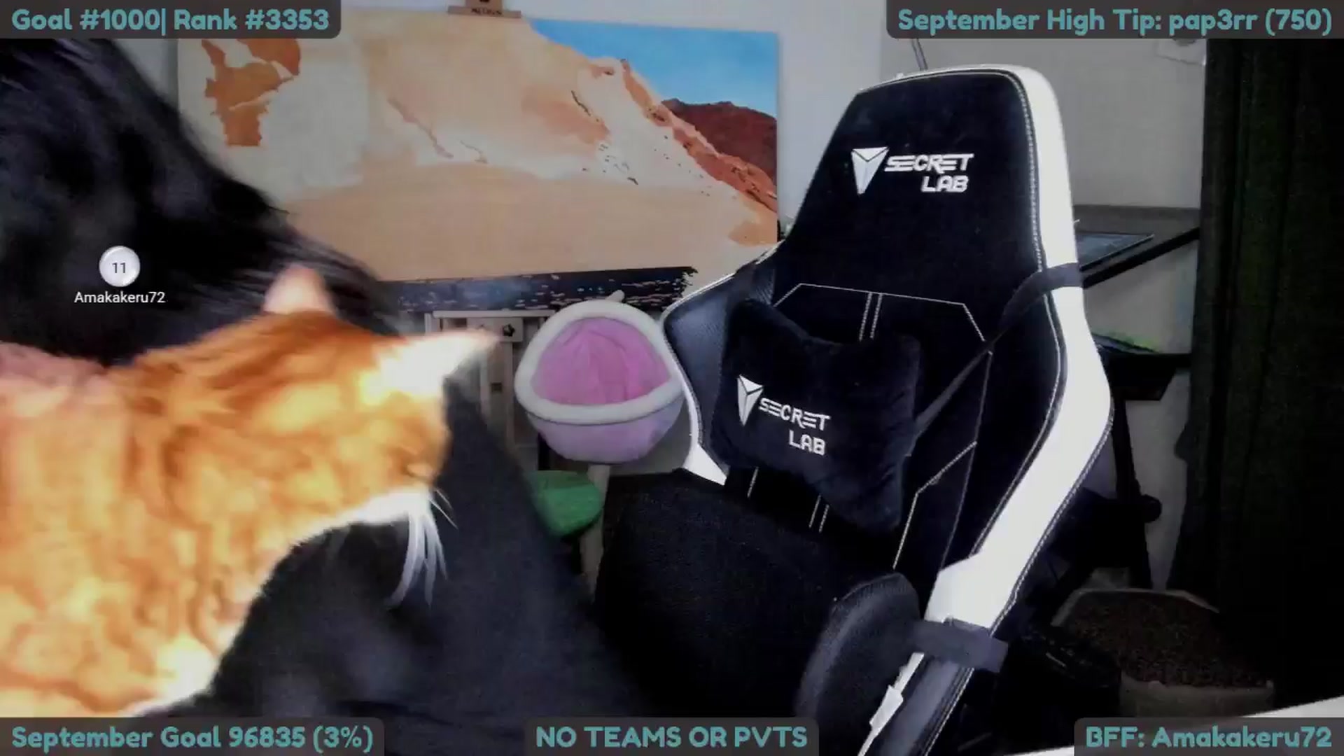Gallery image thumbnail from Melon's myfreecams stream on, 09/16/2025, 01:35 image 4 of 20