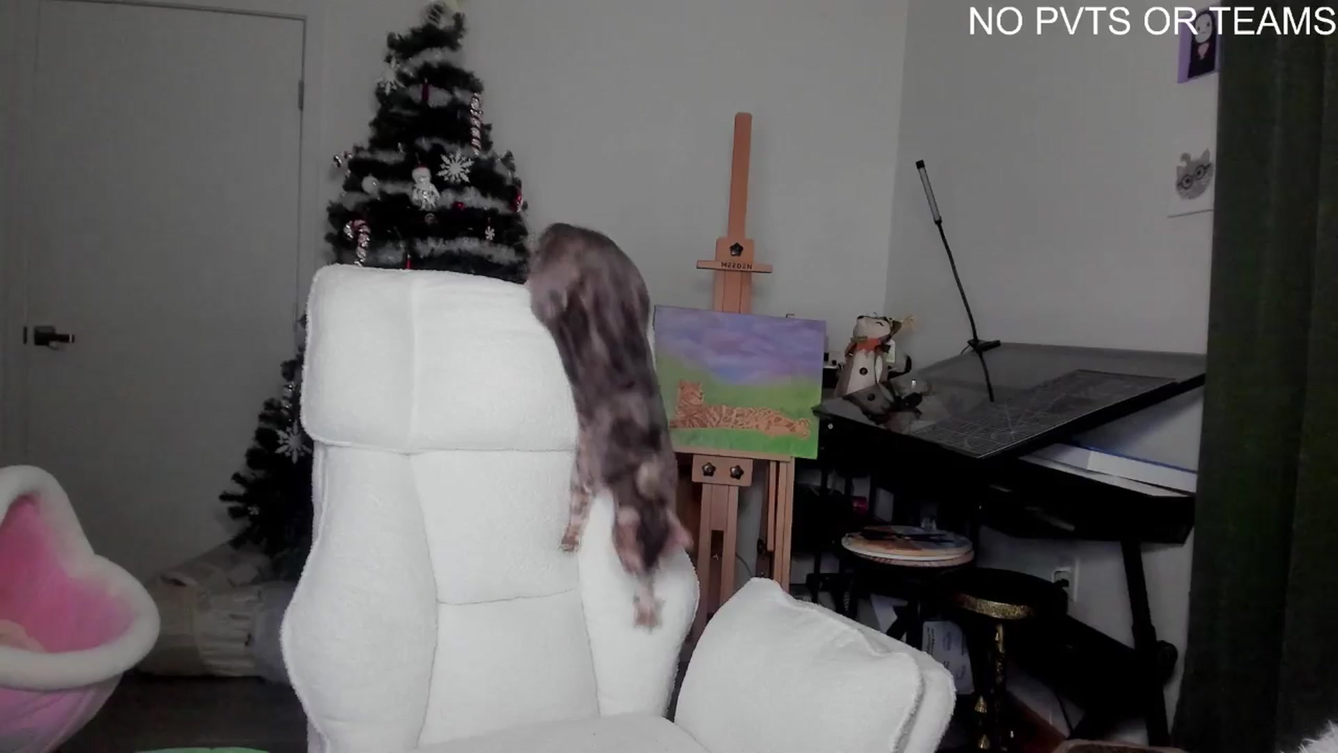 Gallery image thumbnail from Melon's myfreecams stream on, 12/23/2025, 04:15 image 18 of 20