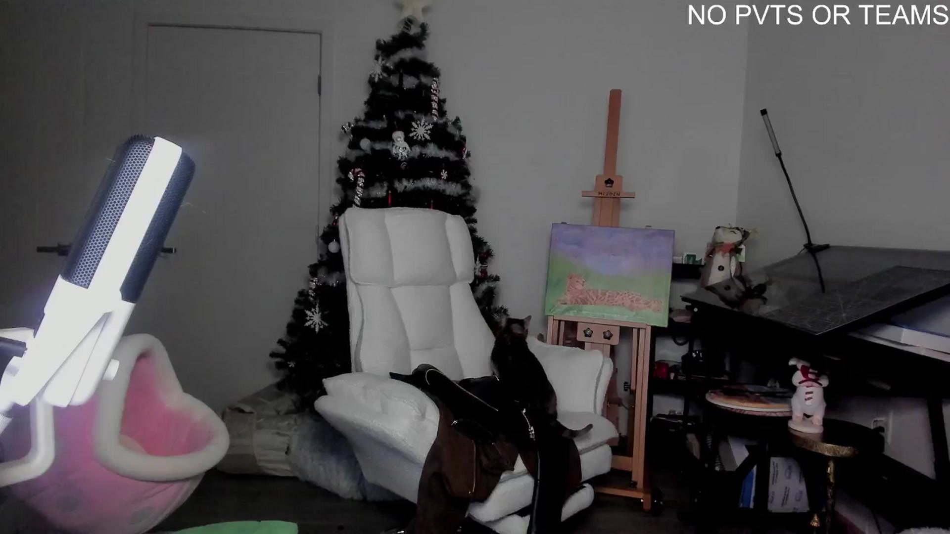 Gallery image thumbnail from Melon's myfreecams stream on, 12/28/2025, 04:18 image 2 of 20