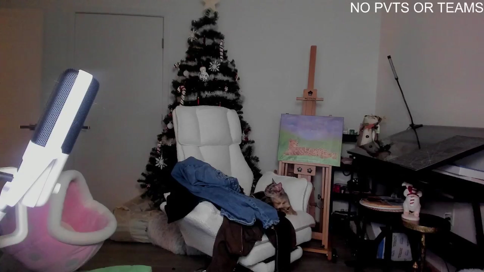 Gallery image thumbnail from Melon's myfreecams stream on, 12/28/2025, 04:18 image 3 of 20