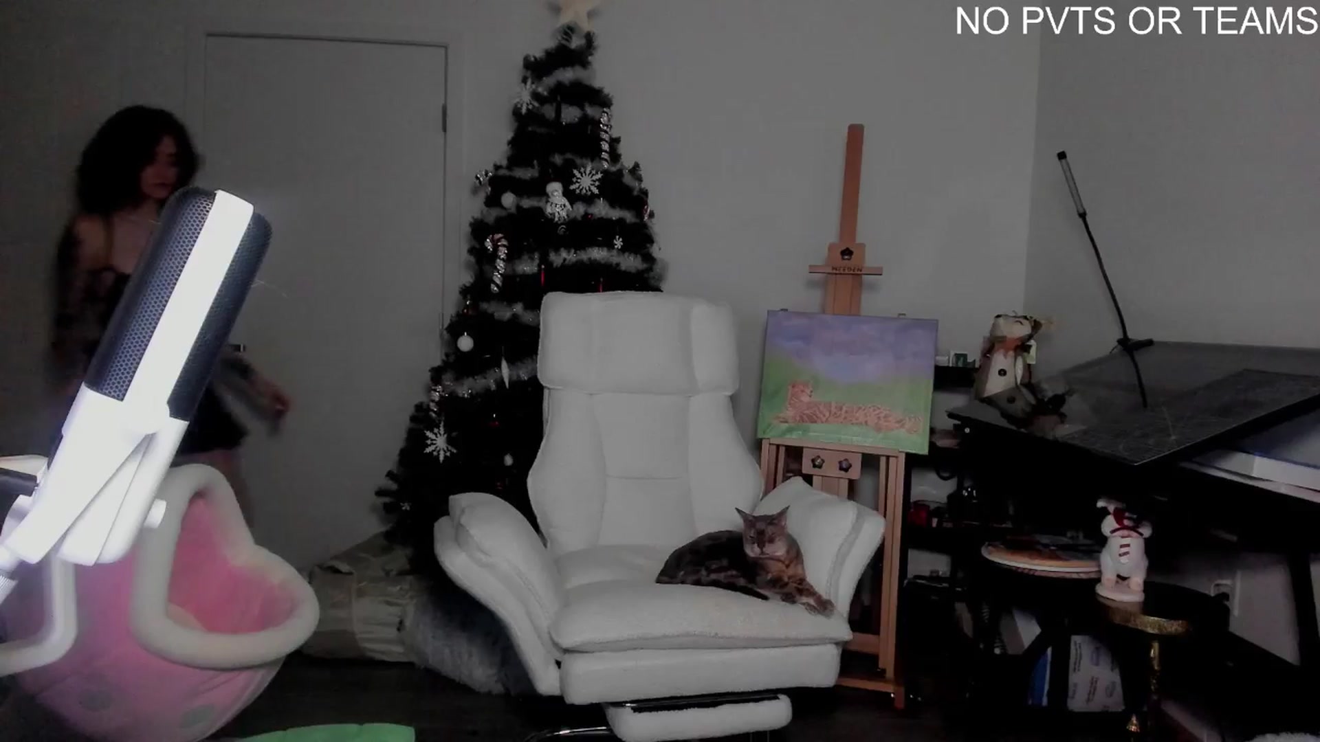 Gallery image thumbnail from Melon's myfreecams stream on, 12/28/2025, 04:18 image 15 of 20