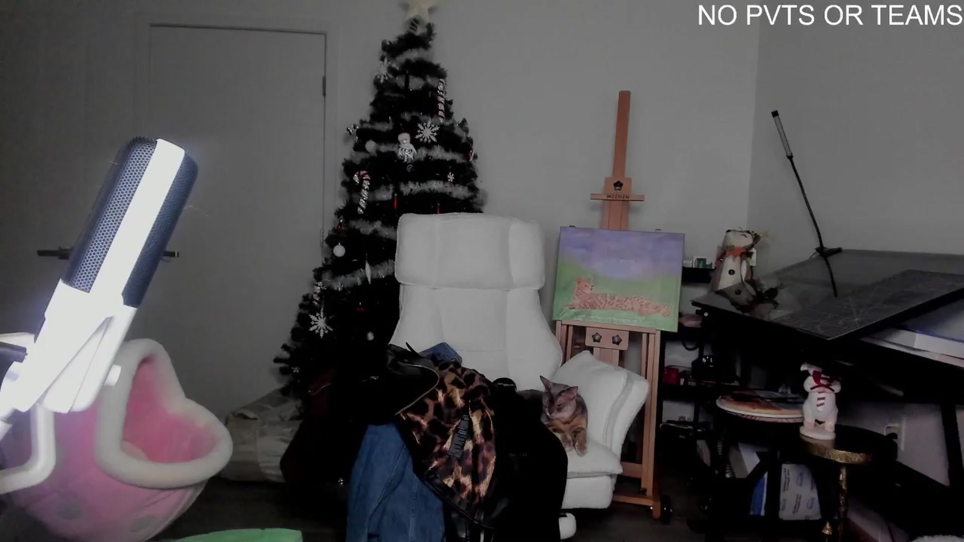 Gallery image thumbnail from Melon's myfreecams stream on, 12/28/2025, 04:18 image 9 of 20