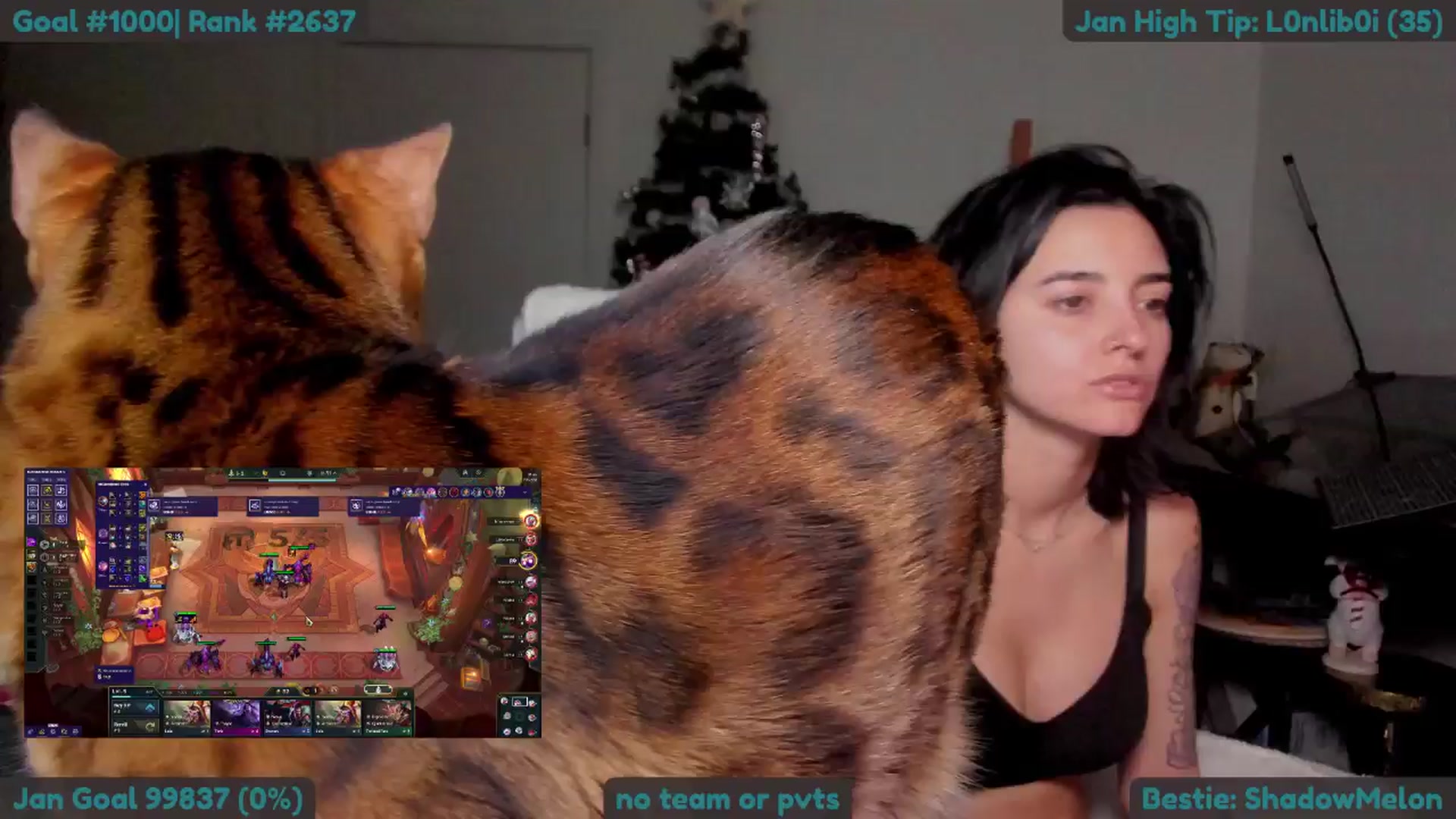 Gallery image thumbnail from Melon's myfreecams stream on, 01/03/2026, 03:43 image 11 of 20