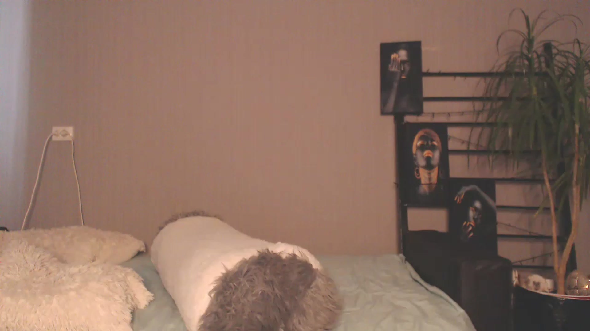 Gallery image thumbnail from MeowNicole's myfreecams stream on, 05/28/2023, 08:12 image 10 of 20