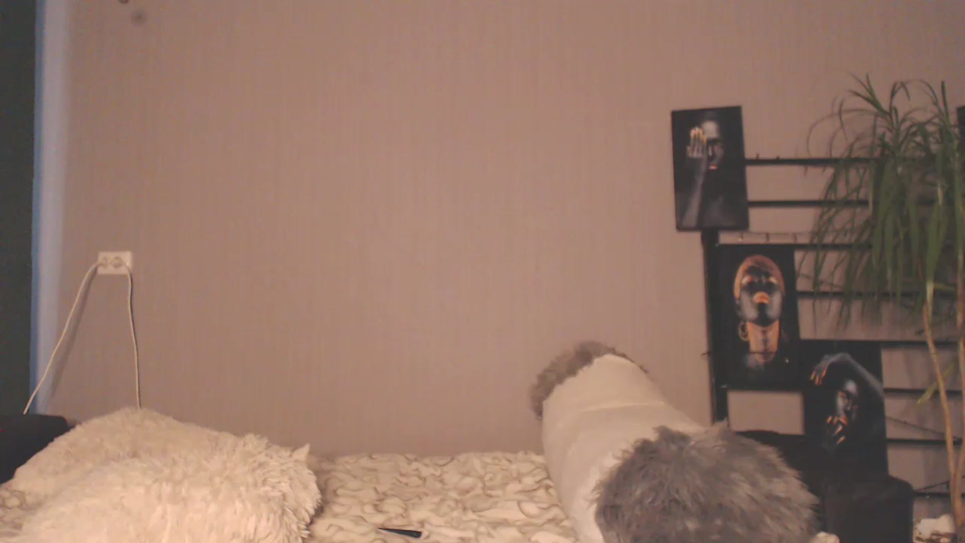 Gallery image thumbnail from MeowNicole's myfreecams stream on, 06/24/2023, 15:44 image 10 of 20