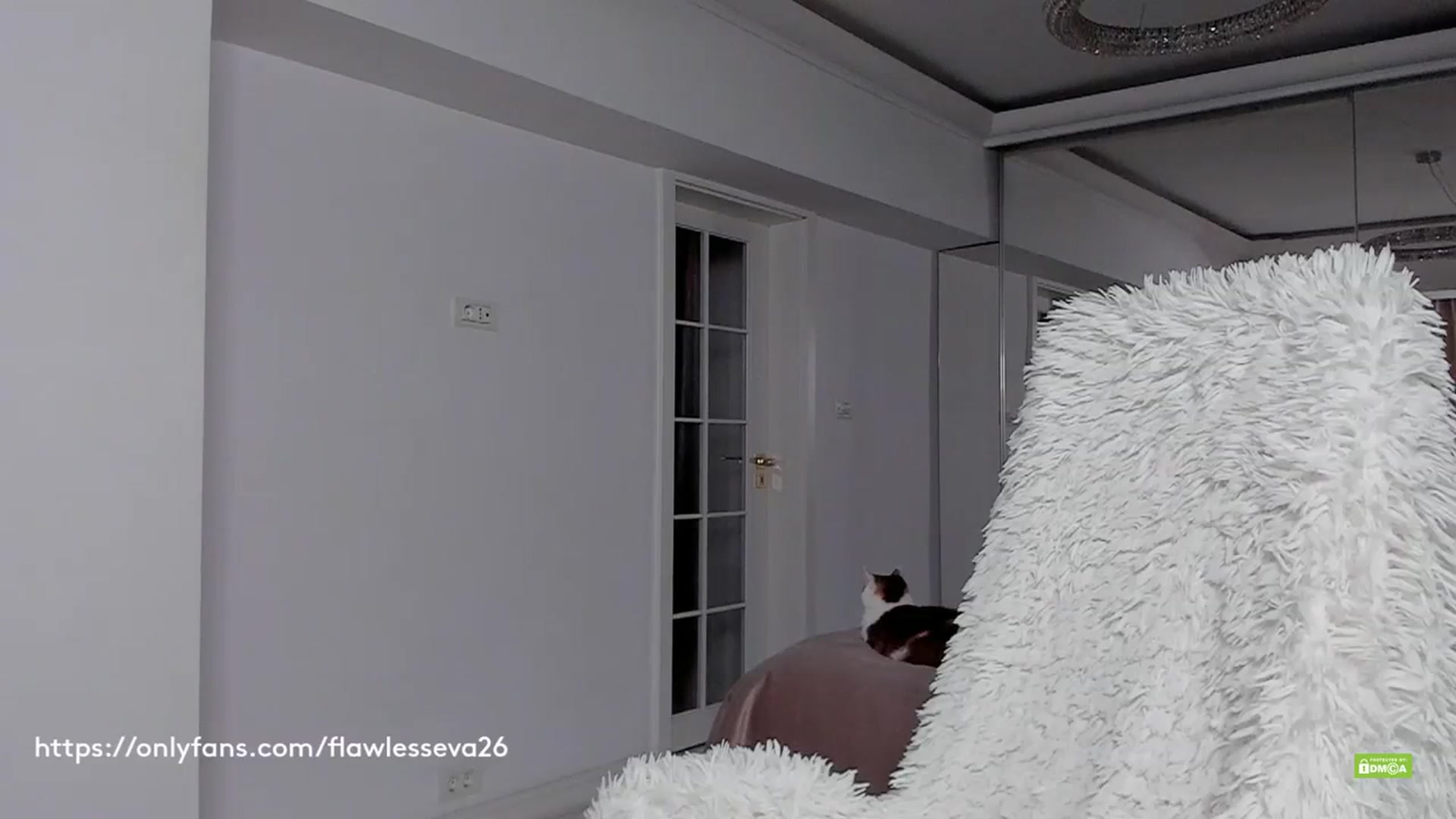 Gallery image thumbnail from Meow_S's myfreecams stream on, 11/26/2023, 19:58 image 9 of 20