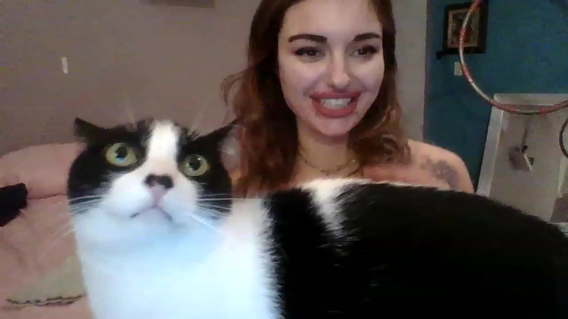 Gallery image thumbnail from Meowkiittyy's myfreecams stream on, 11/18/2022, 05:11 image 1 of 20
