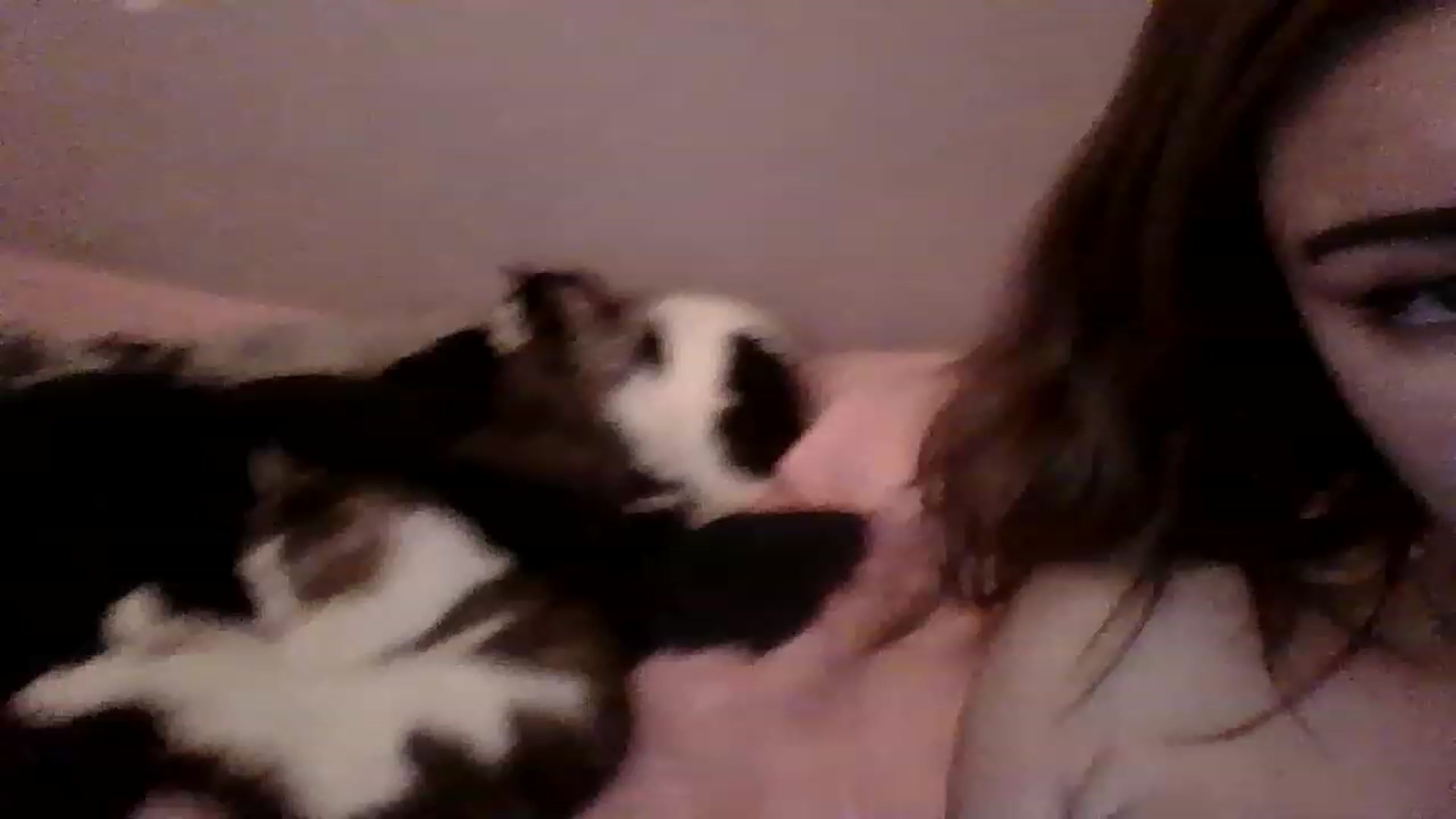 Gallery image thumbnail from Meowkiittyy's myfreecams stream on, 11/18/2022, 05:11 image 2 of 20