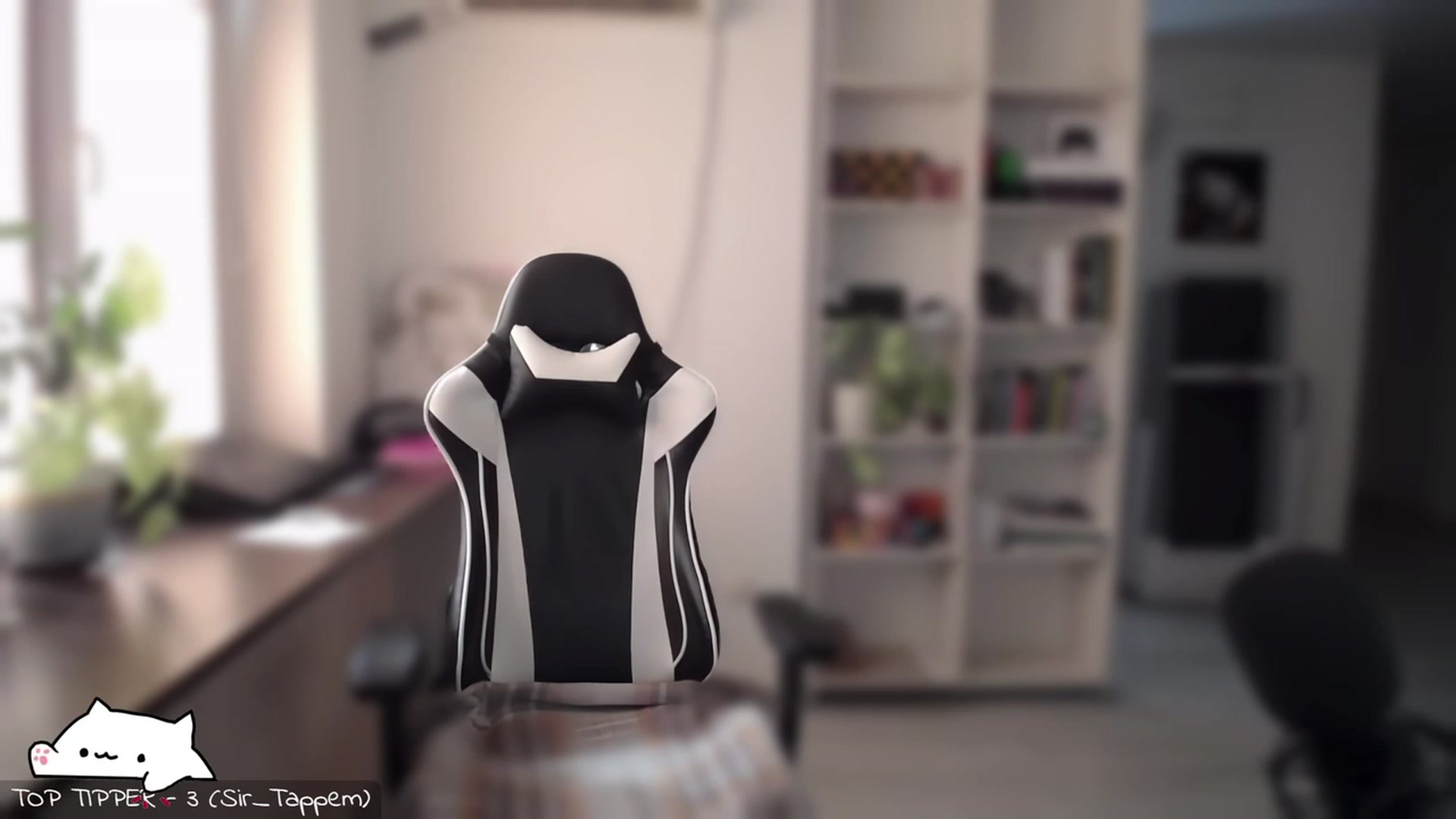 Gallery image thumbnail from Meowlexx's myfreecams stream on, 07/30/2023, 06:03 image 17 of 20