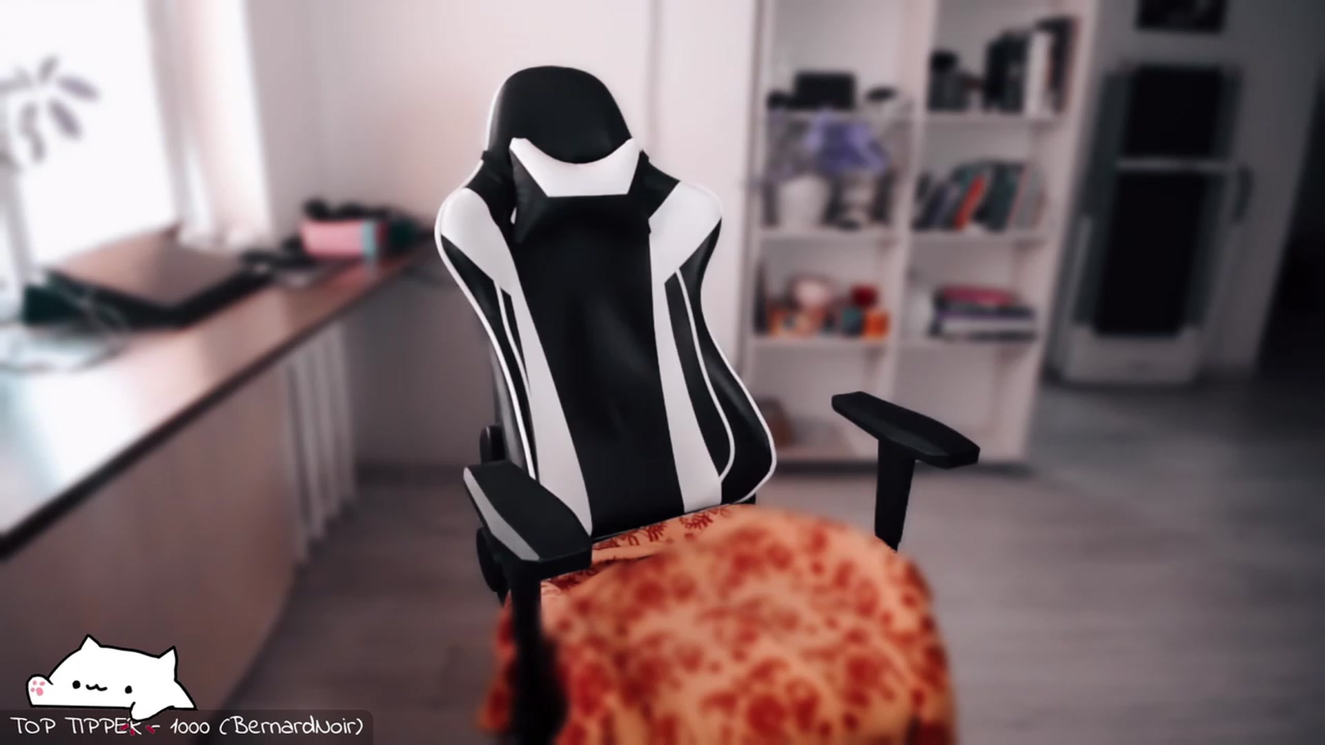 Gallery image thumbnail from Meowlexx's myfreecams stream on, 09/24/2023, 08:39 image 4 of 20