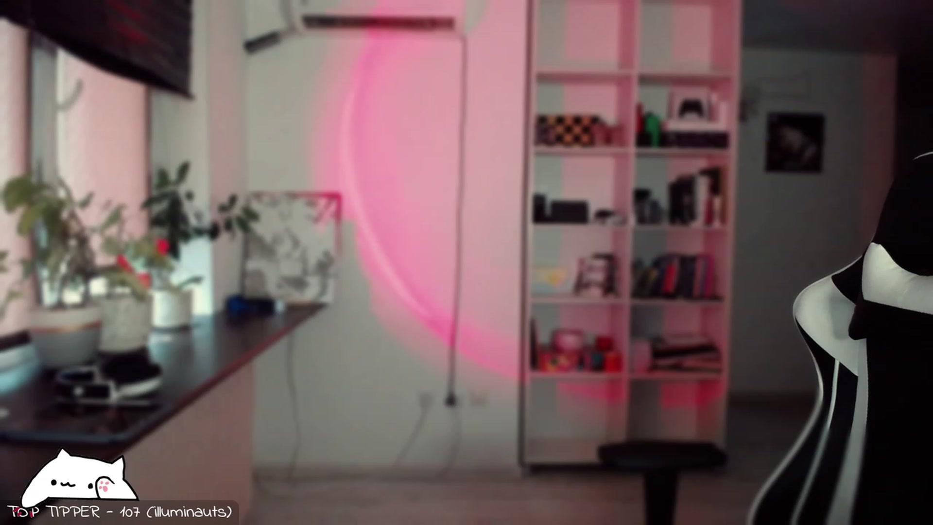 Gallery image thumbnail from Meowlexx's myfreecams stream on, 12/03/2023, 06:17 image 8 of 20