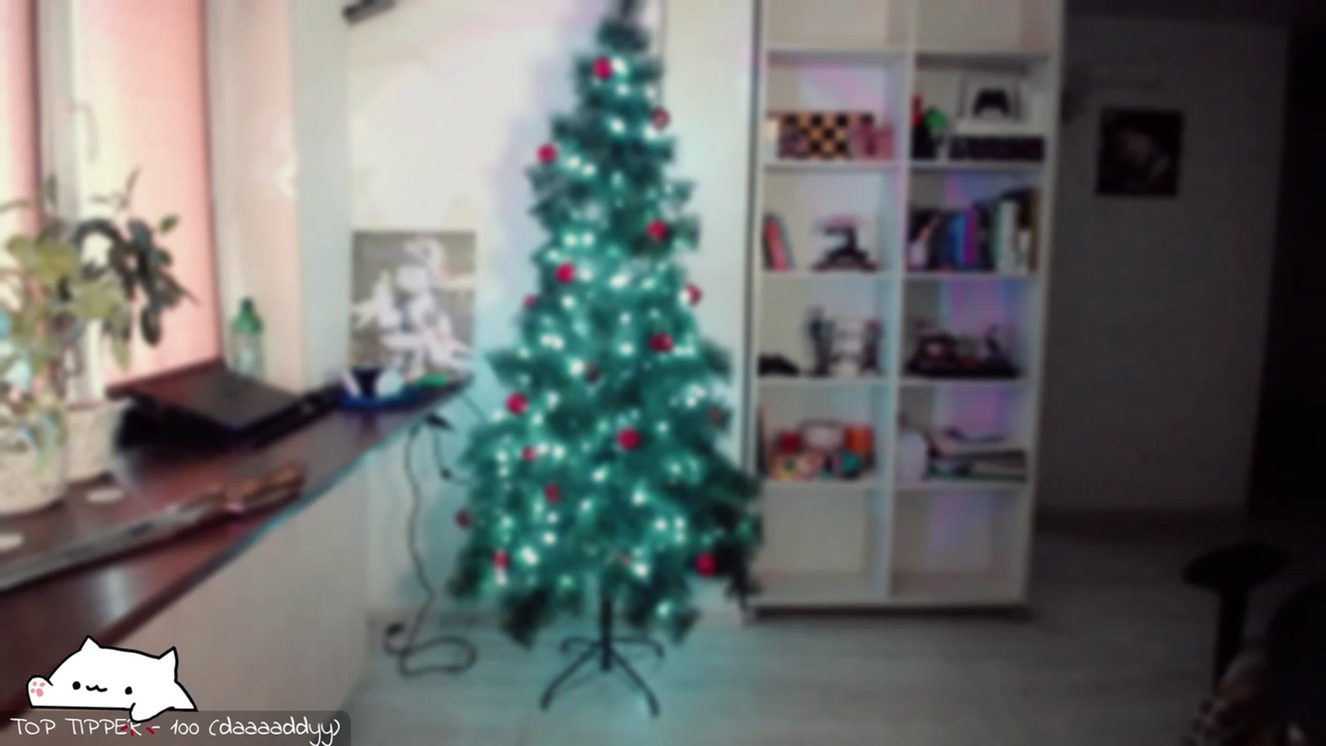 Gallery image thumbnail from Meowlexx's myfreecams stream on, 12/20/2023, 08:01 image 14 of 20