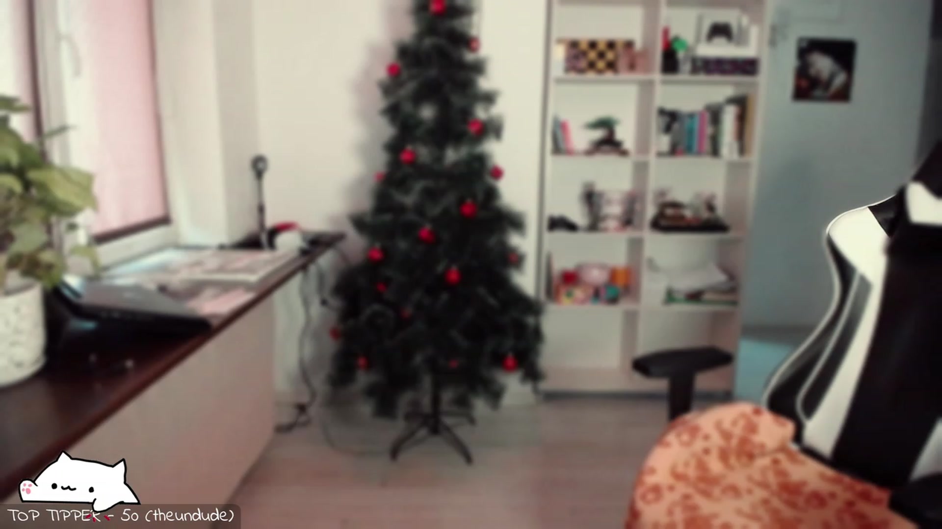 Gallery image thumbnail from Meowlexx's myfreecams stream on, 01/04/2024, 07:12 image 1 of 20