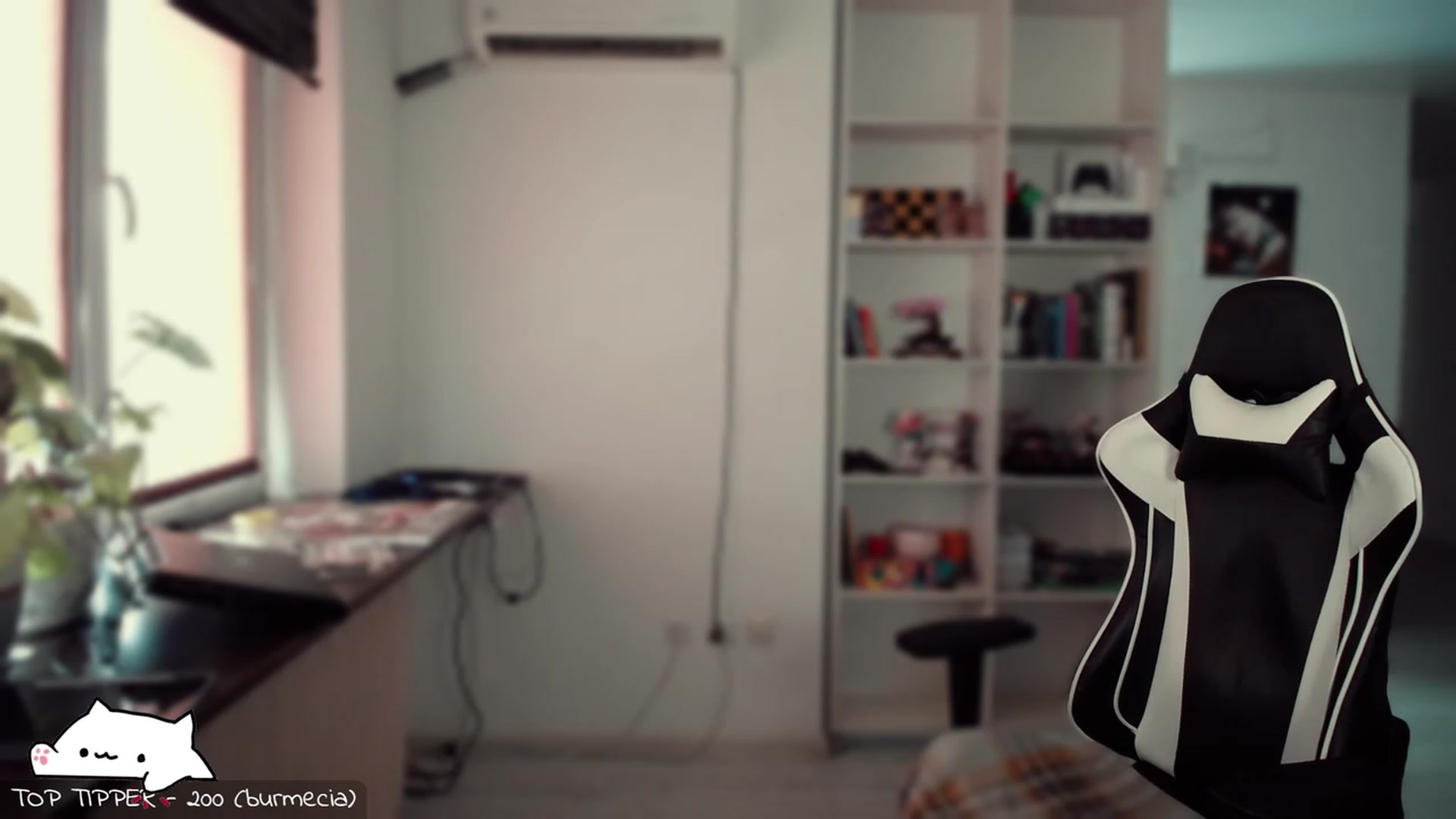 Gallery image thumbnail from Meowlexx's myfreecams stream on, 01/25/2024, 07:46 image 9 of 20