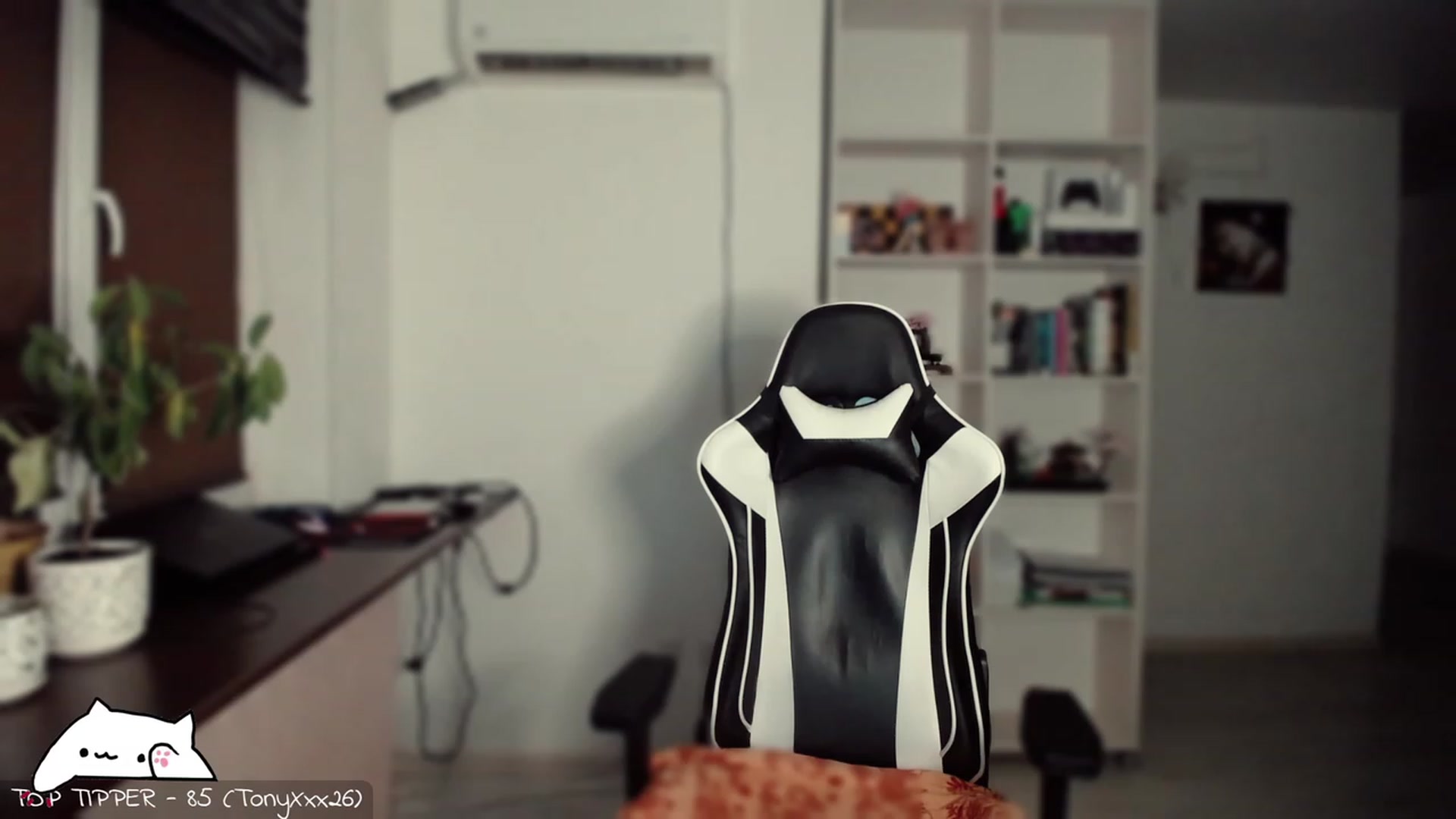 Gallery image thumbnail from Meowlexx's myfreecams stream on, 02/17/2024, 14:42 image 19 of 20