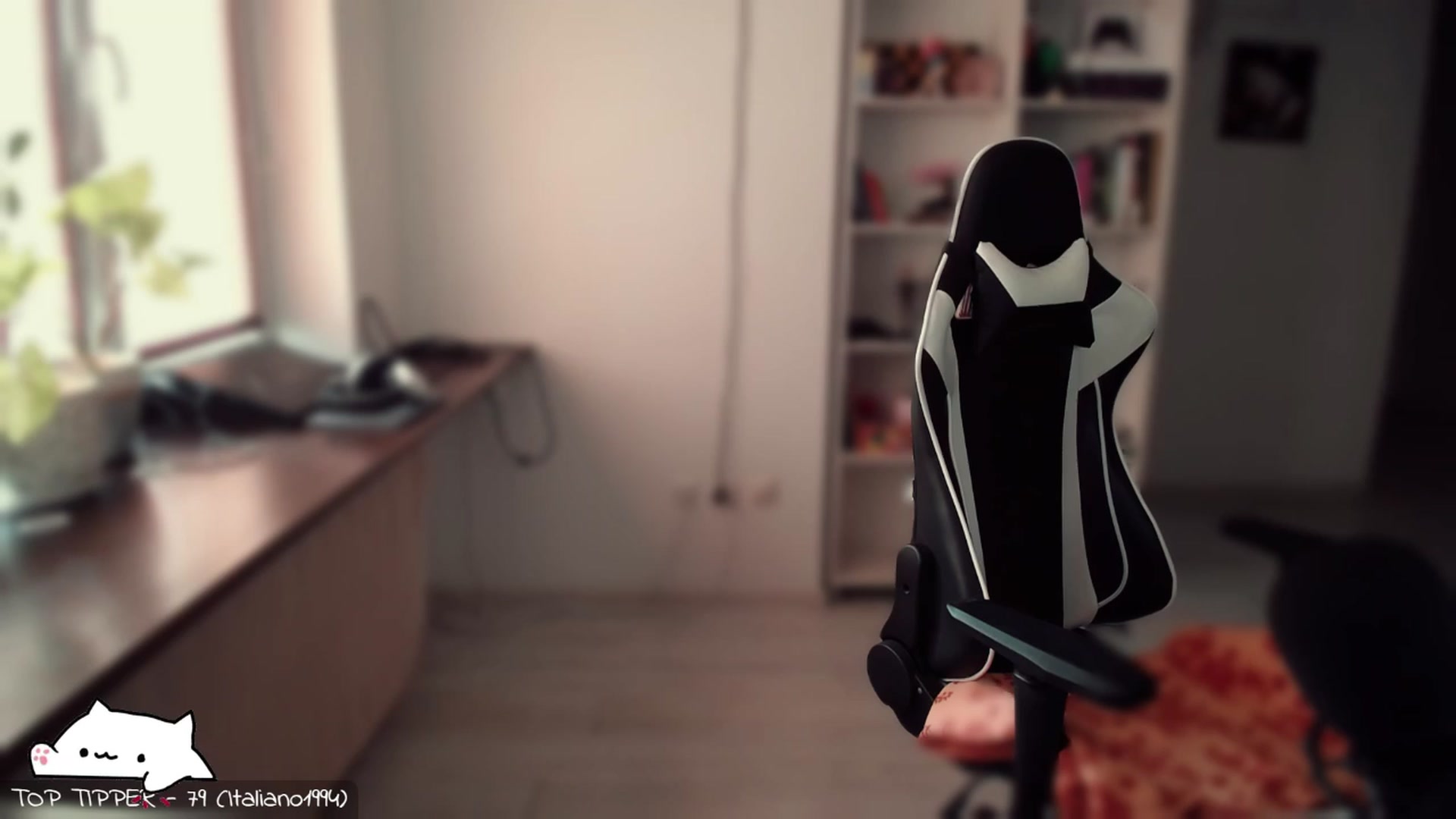 Gallery image thumbnail from Meowlexx's myfreecams stream on, 04/03/2024, 06:19 image 9 of 20