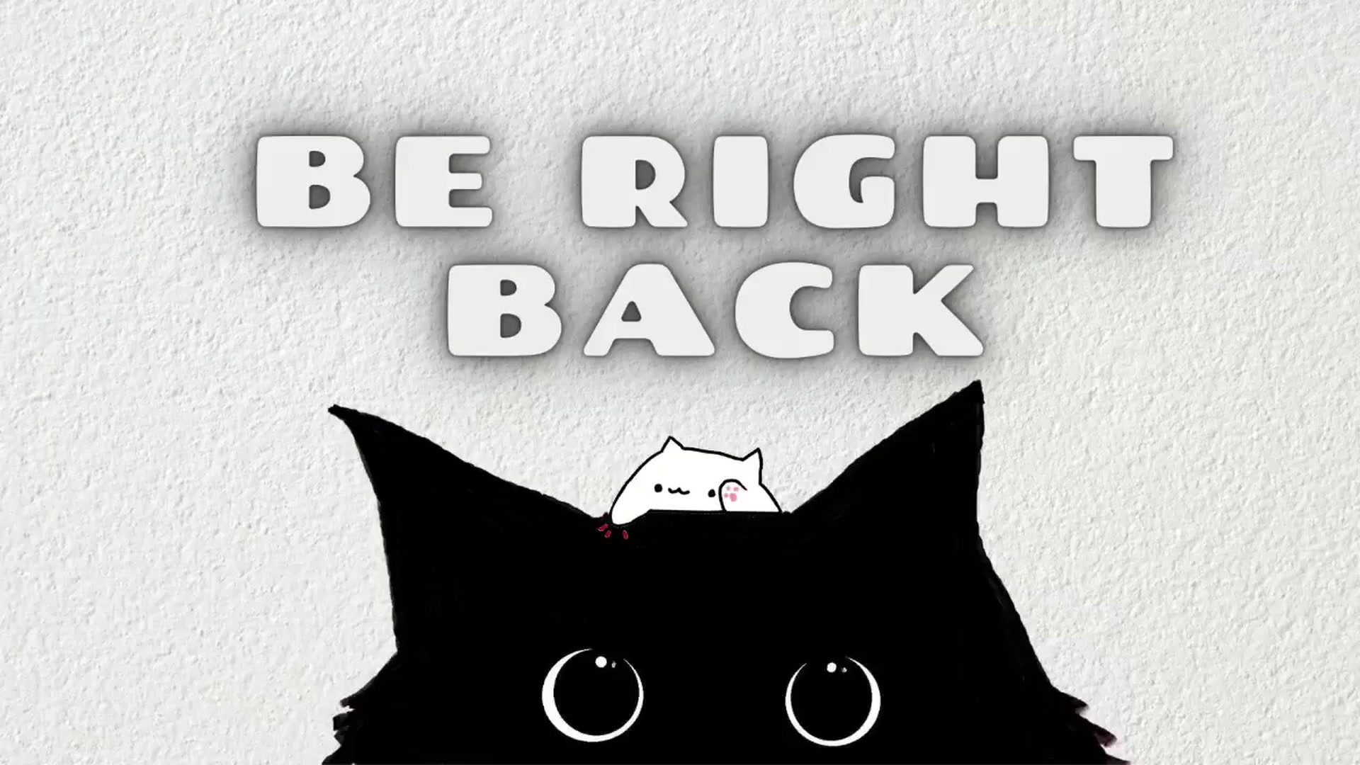 Gallery image thumbnail from Meowlexx's myfreecams stream on, 01/13/2025, 06:56 image 6 of 20