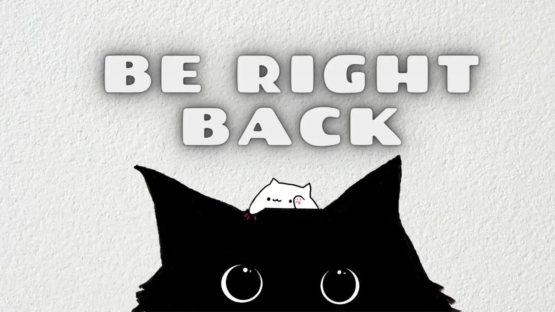 Gallery image thumbnail from Meowlexx's myfreecams stream on, 01/13/2025, 06:56 image 14 of 20