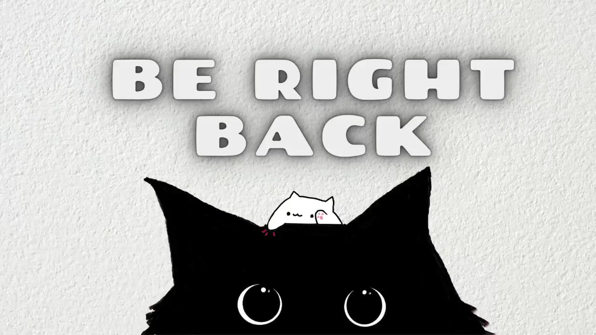 Gallery image thumbnail from Meowlexx's myfreecams stream on, 01/13/2025, 06:56 image 18 of 20