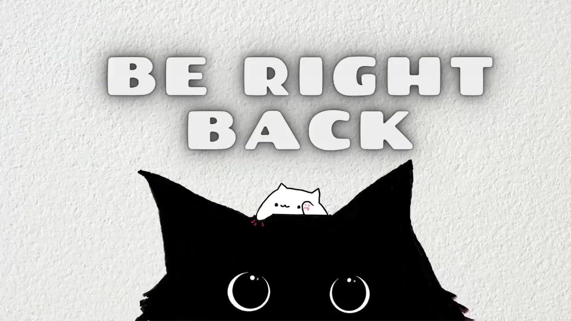 Gallery image thumbnail from Meowlexx's myfreecams stream on, 01/13/2025, 06:56 image 13 of 20