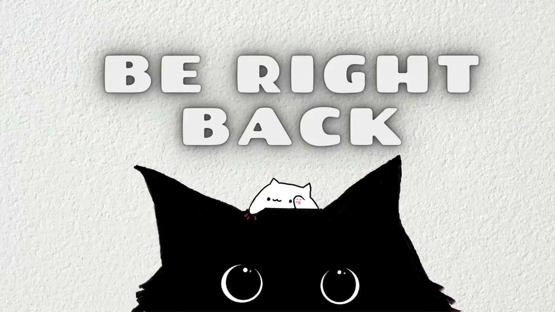 Gallery image thumbnail from Meowlexx's myfreecams stream on, 01/13/2025, 06:56 image 10 of 20