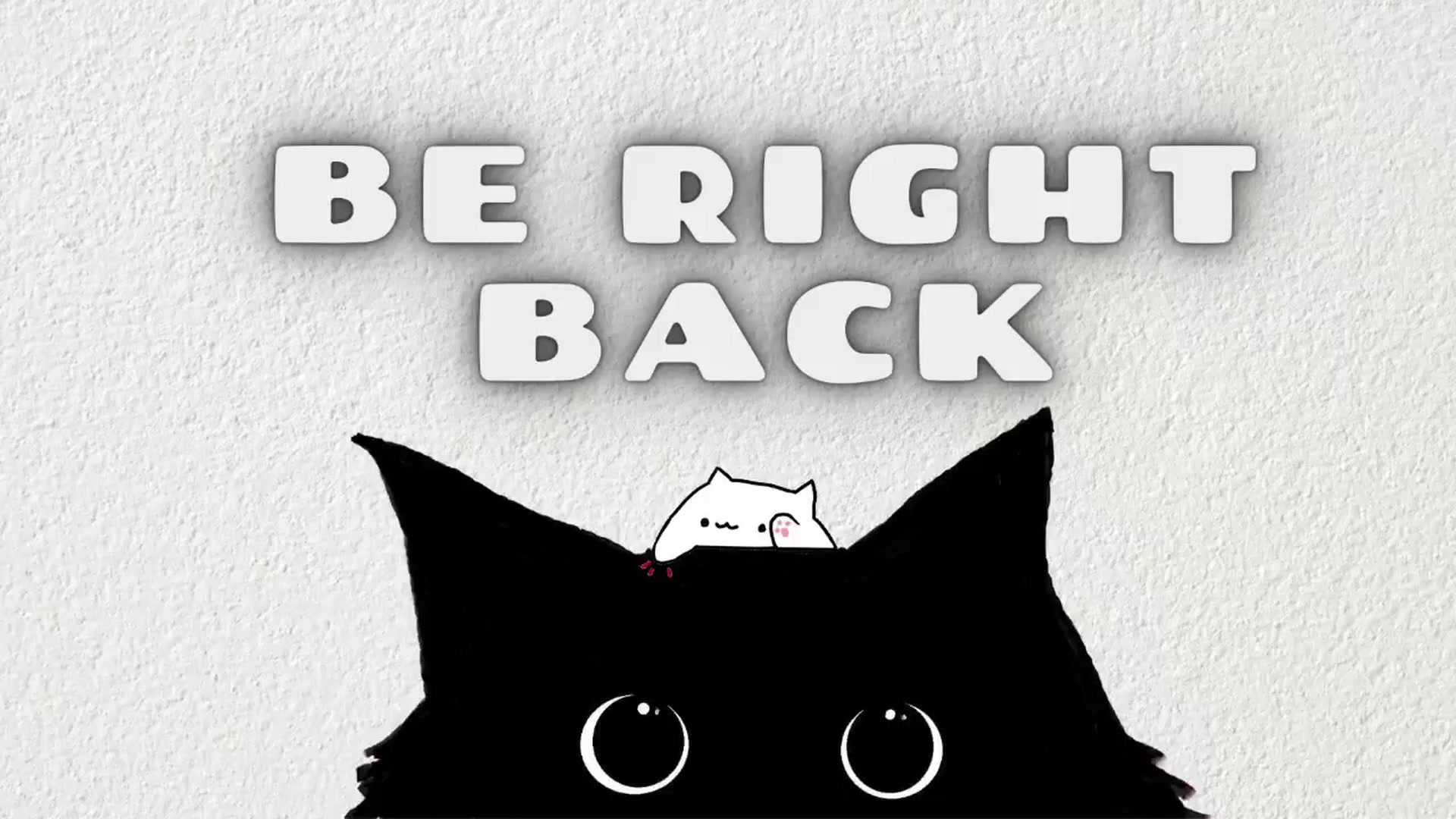 Gallery image thumbnail from Meowlexx's myfreecams stream on, 01/13/2025, 06:56 image 16 of 20