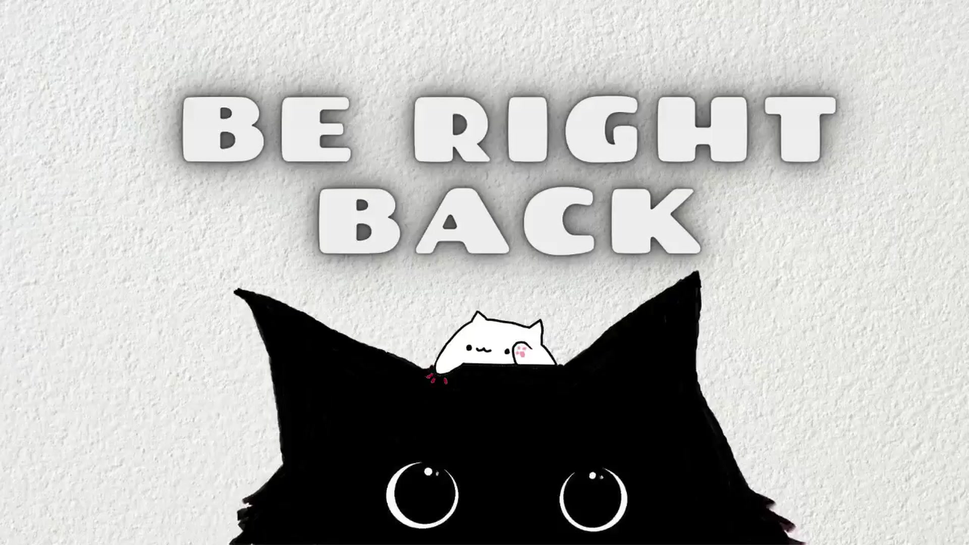 Gallery image thumbnail from Meowlexx's myfreecams stream on, 01/13/2025, 06:56 image 7 of 20