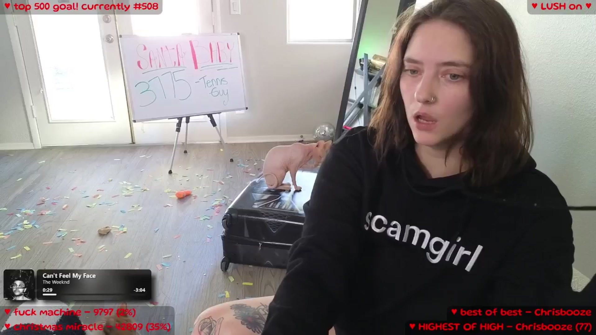 Gallery image thumbnail from Meowz's myfreecams stream on, 12/27/2025, 23:07 image 1 of 20