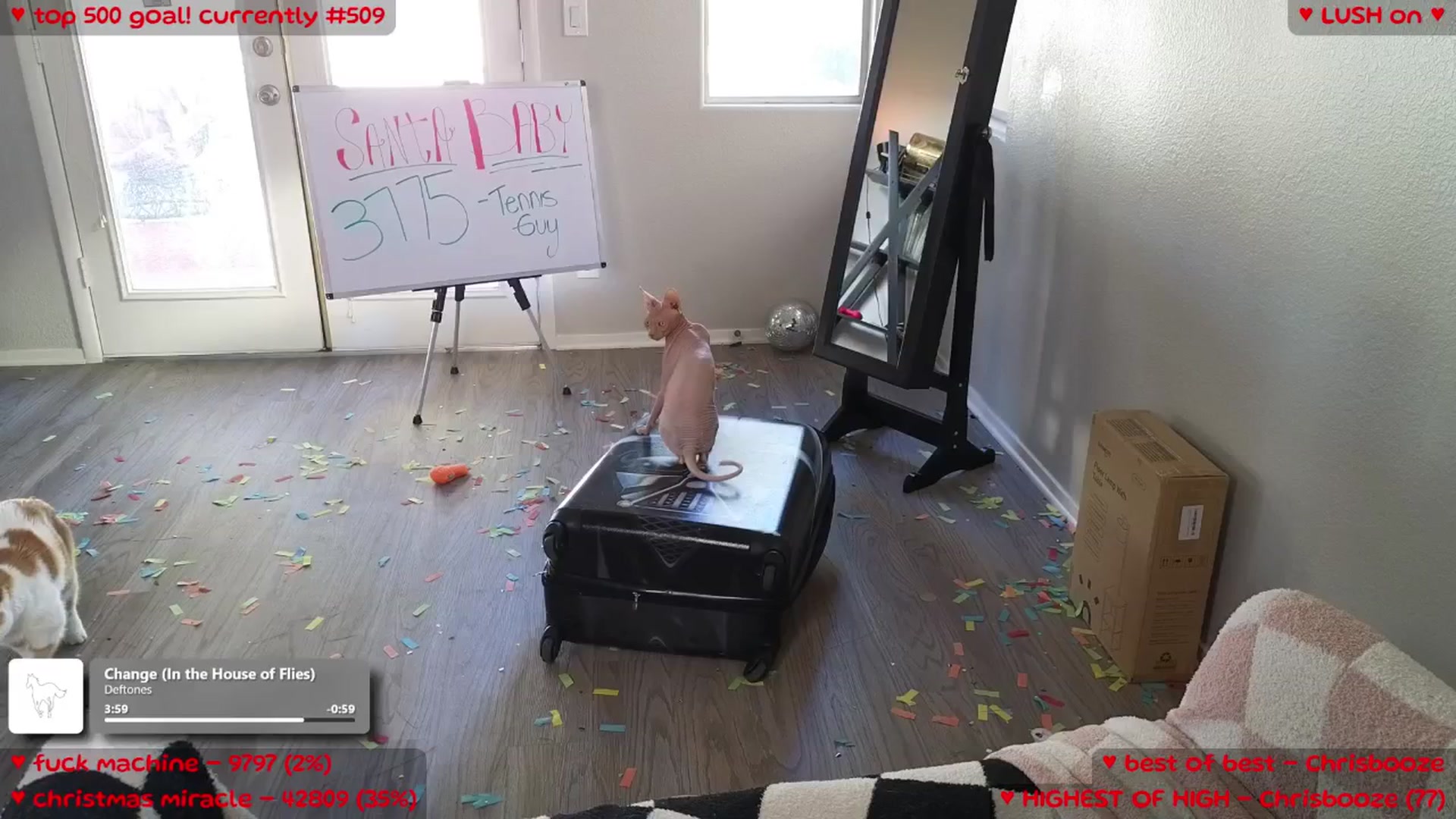 Gallery image thumbnail from Meowz's myfreecams stream on, 12/27/2025, 23:07 image 3 of 20