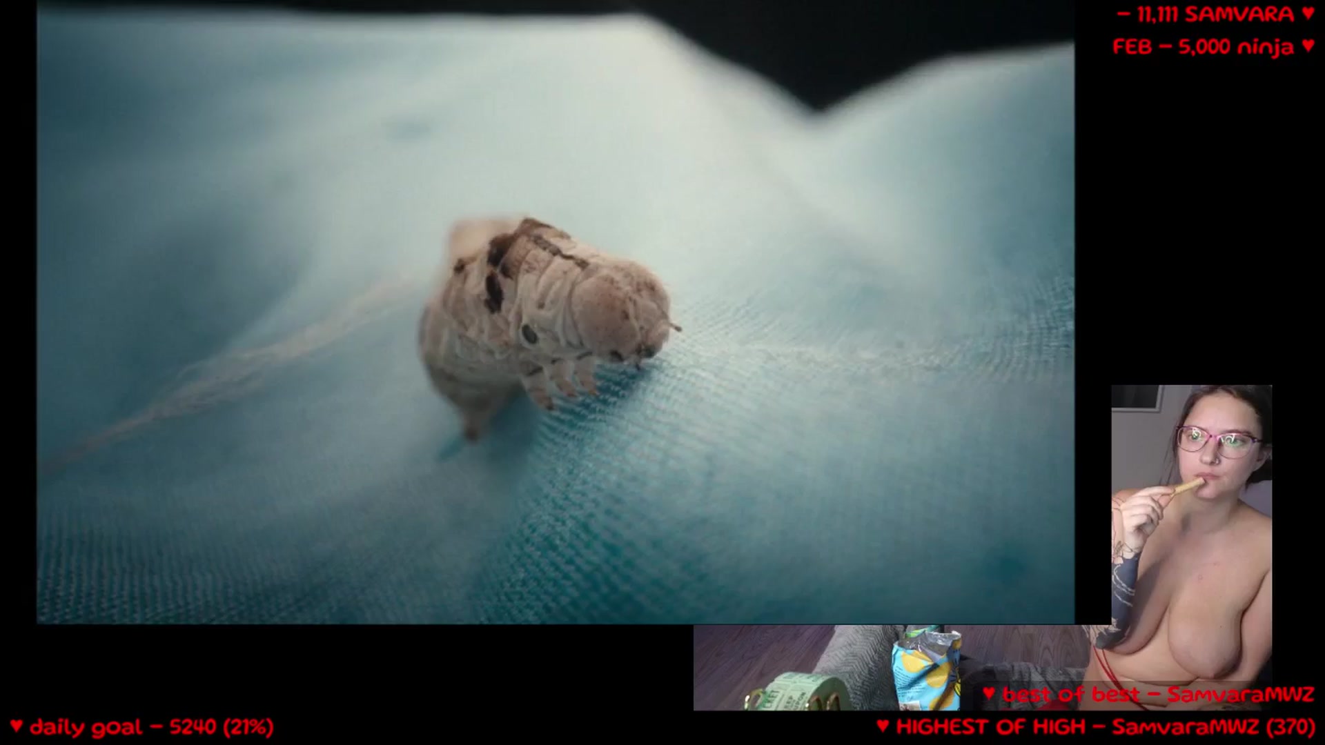 Gallery image thumbnail from Meowz's myfreecams stream on, 02/18/2026, 03:09 image 14 of 20