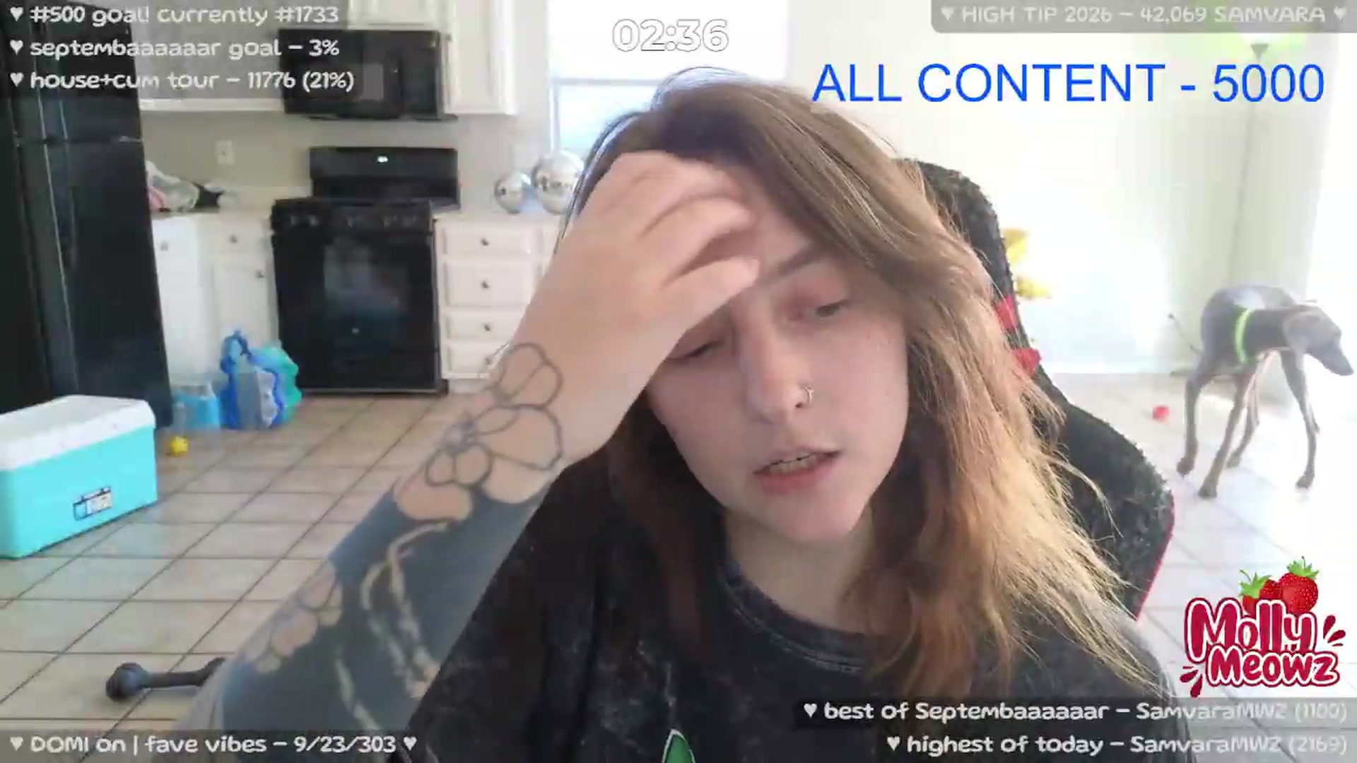 Gallery image thumbnail from Meowz's myfreecams stream on, 09/05/2026, 24:20 image 17 of 20