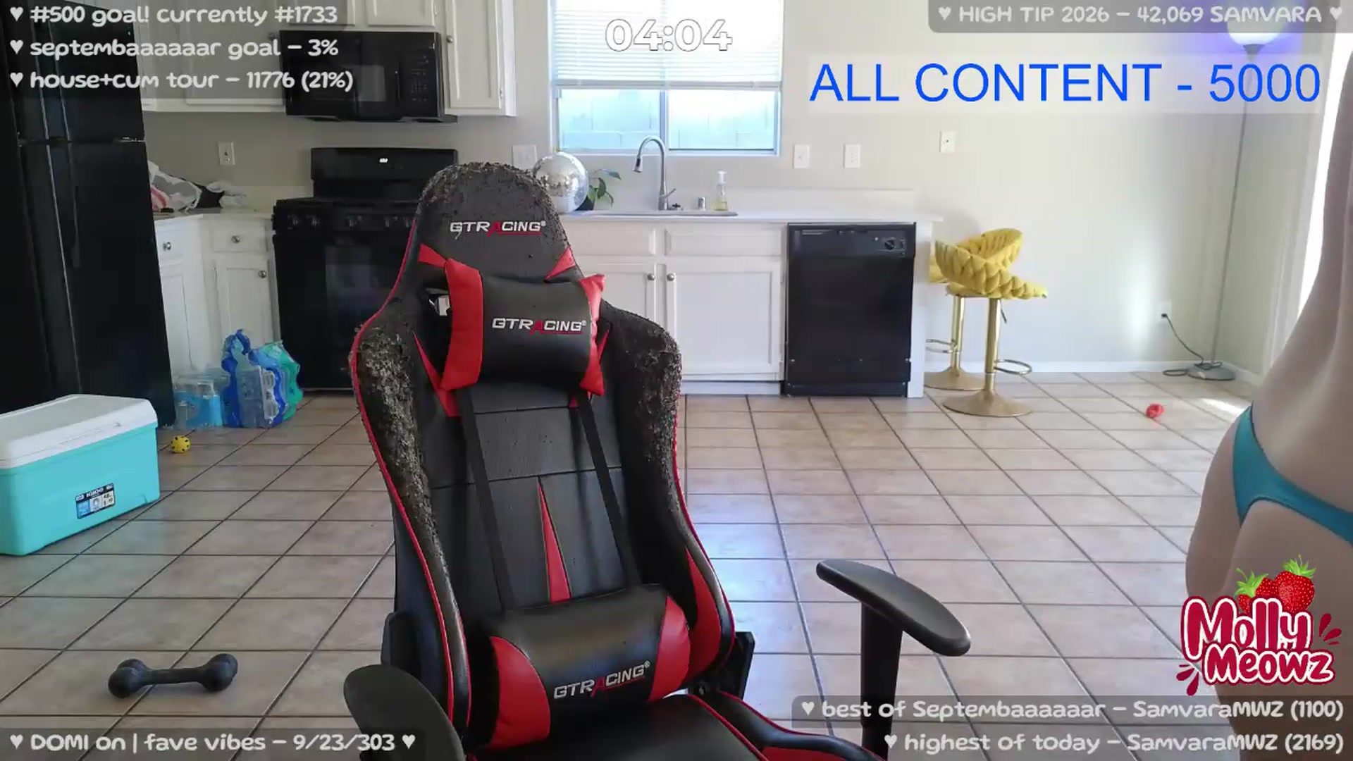 Gallery image thumbnail from Meowz's myfreecams stream on, 09/05/2026, 24:20 image 15 of 20