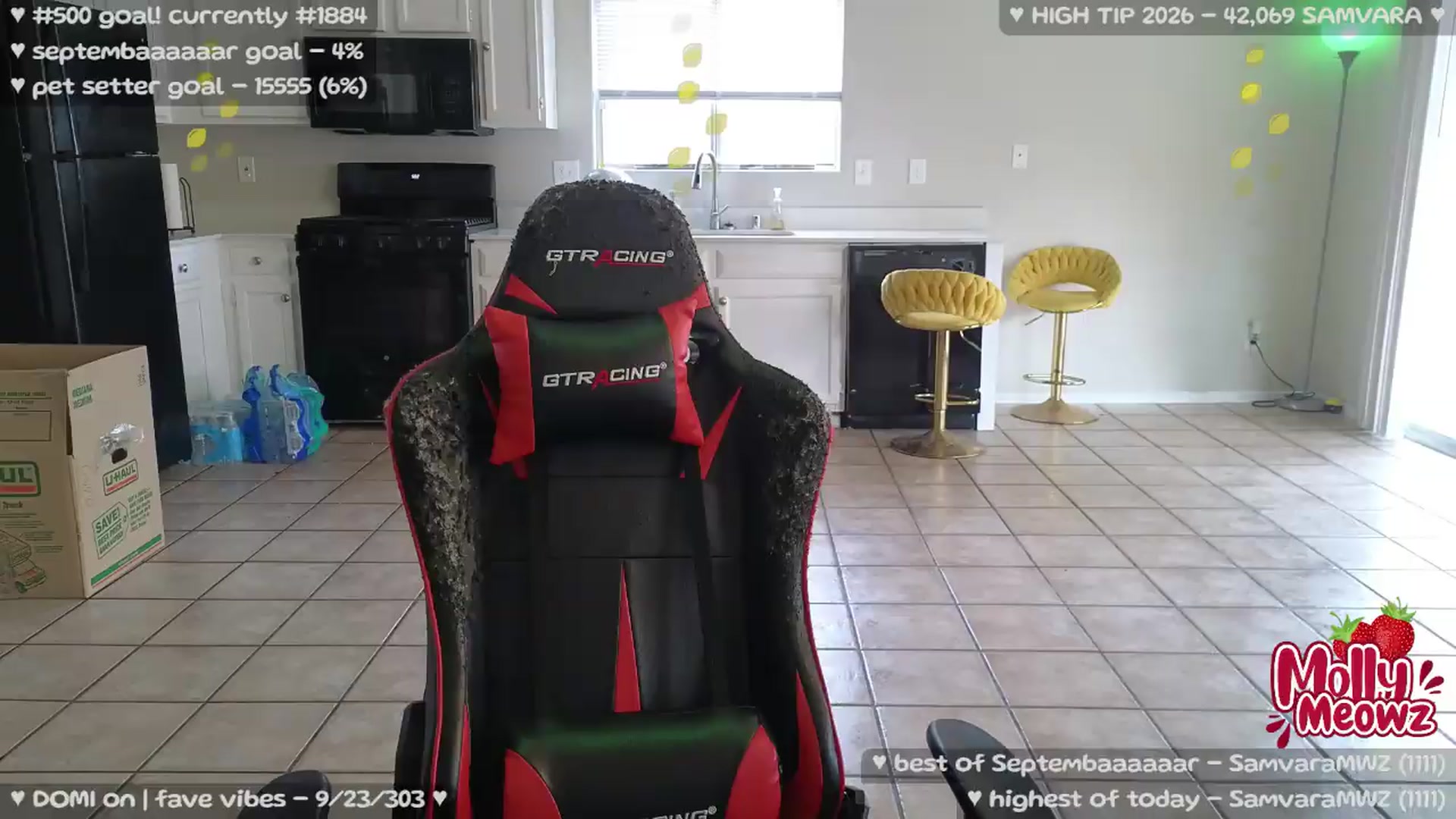 Gallery image thumbnail from Meowz's myfreecams stream on, 09/07/2026, 23:56 image 2 of 20