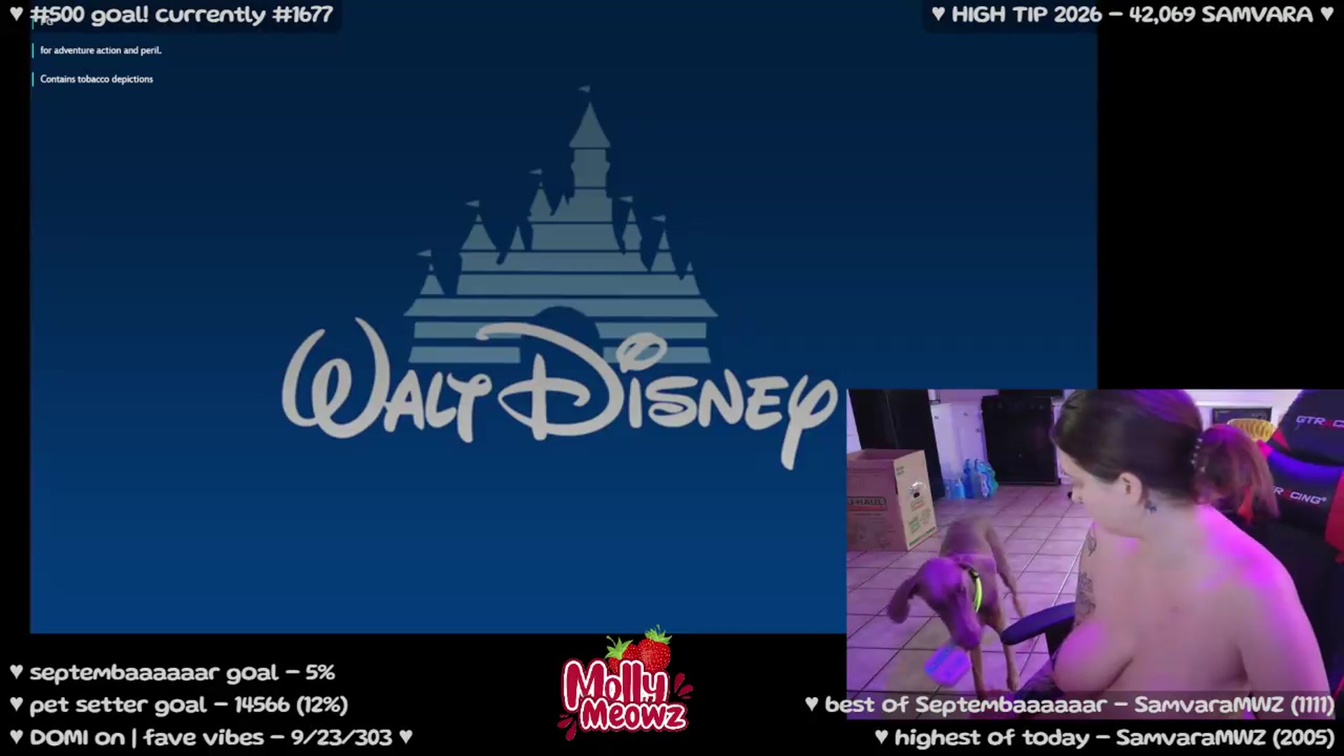 Gallery image thumbnail from Meowz's myfreecams stream on, 09/08/2026, 02:43 image 15 of 20