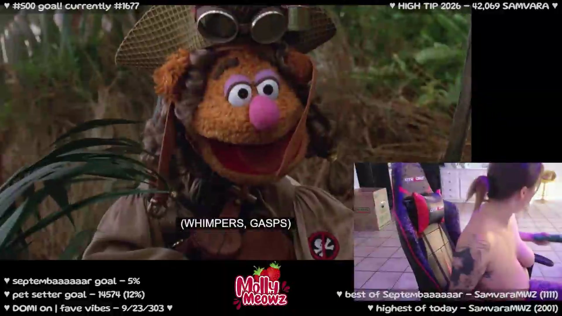 Gallery image thumbnail from Meowz's myfreecams stream on, 09/08/2026, 02:43 image 13 of 20
