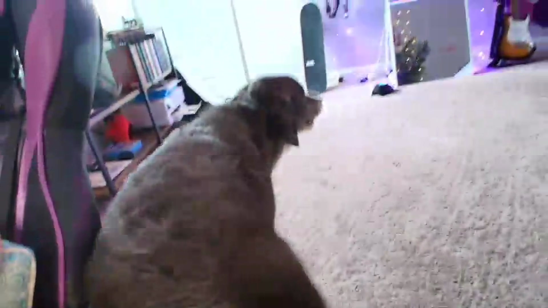Gallery image thumbnail from MeredithBae's myfreecams stream on, 06/05/2026, 22:52 image 7 of 20