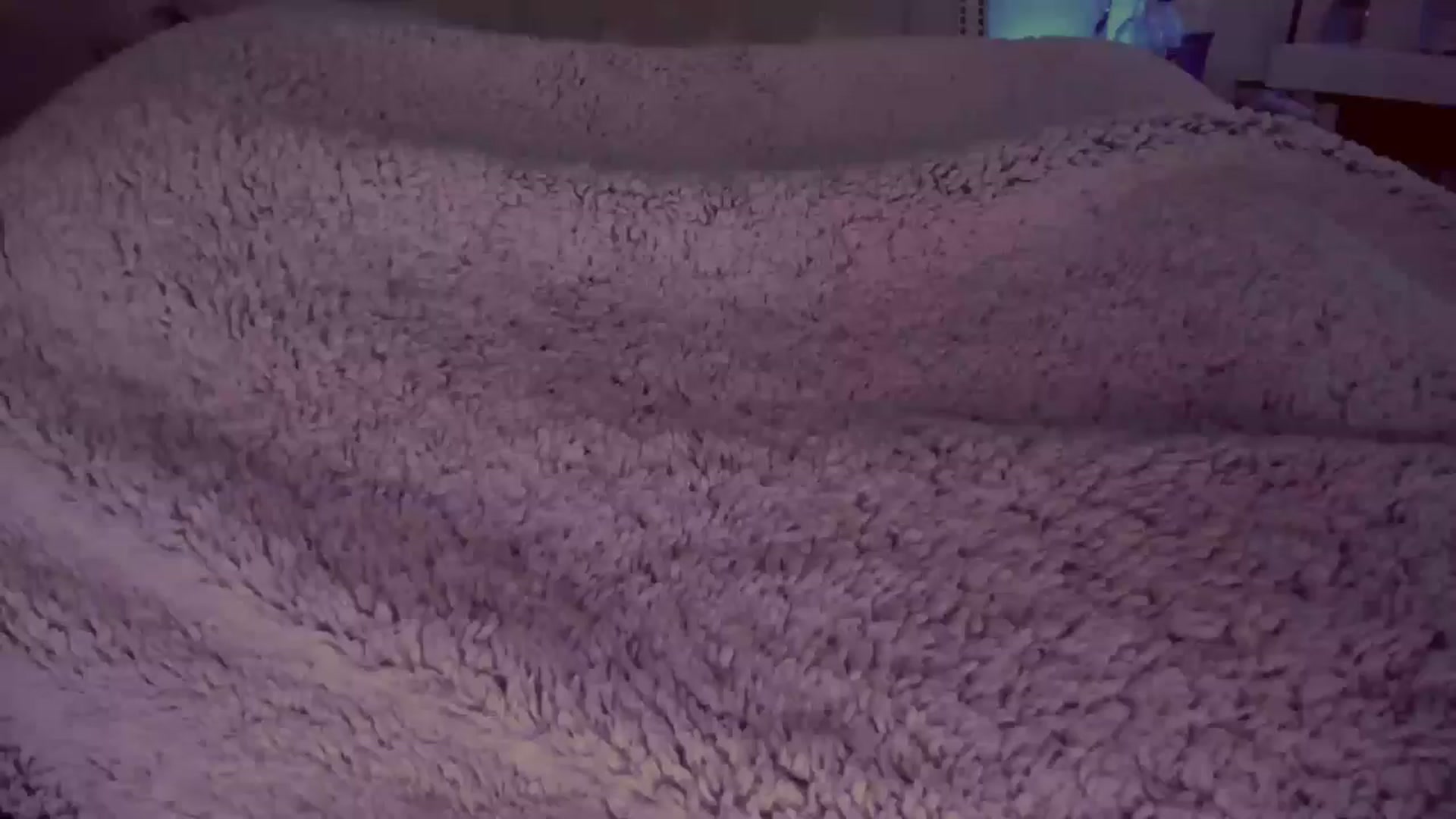 Gallery image thumbnail from MeredithBlake's myfreecams stream on, 07/30/2024, 07:57 image 2 of 20