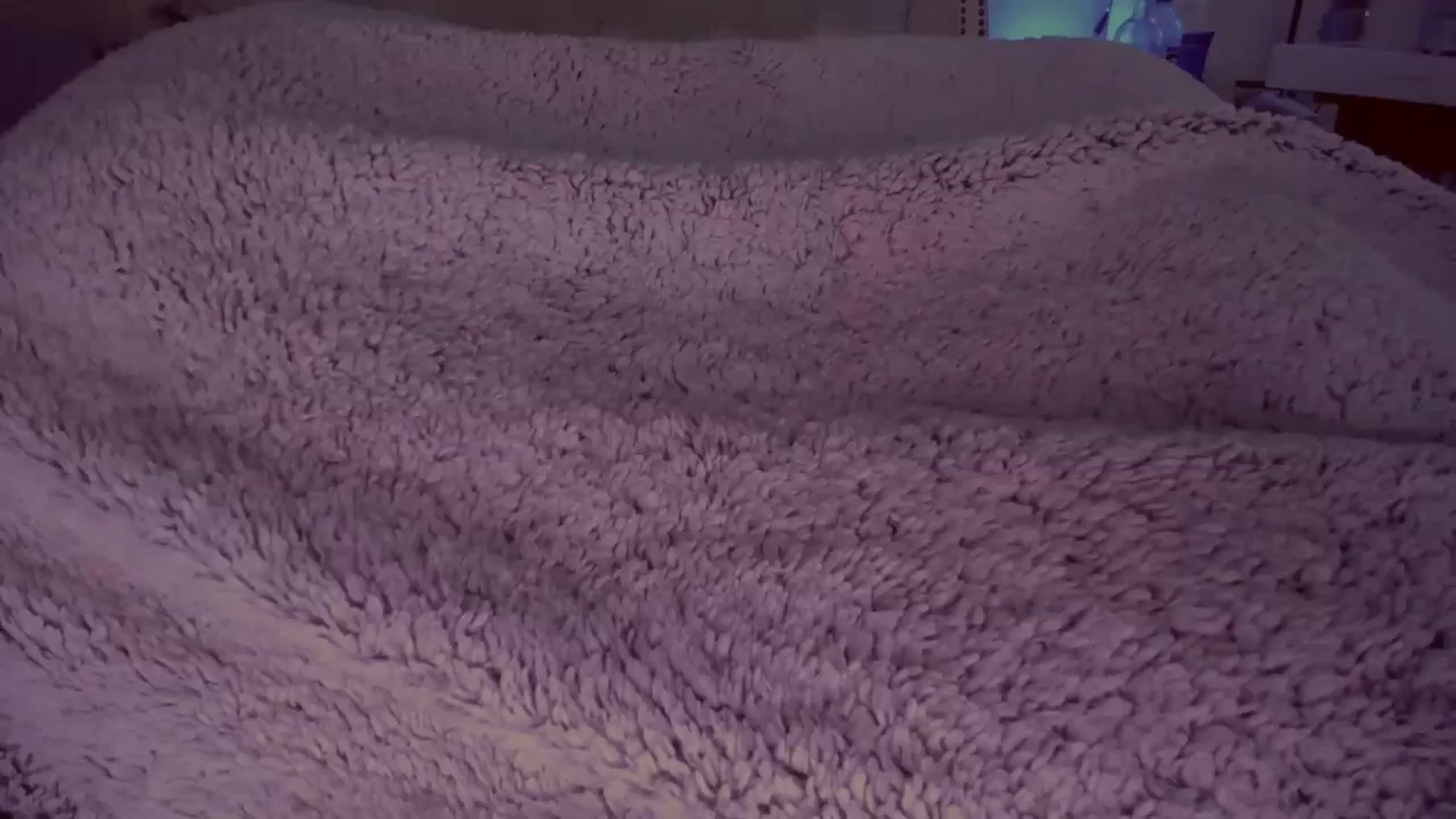 Gallery image thumbnail from MeredithBlake's myfreecams stream on, 07/30/2024, 07:57 image 1 of 20