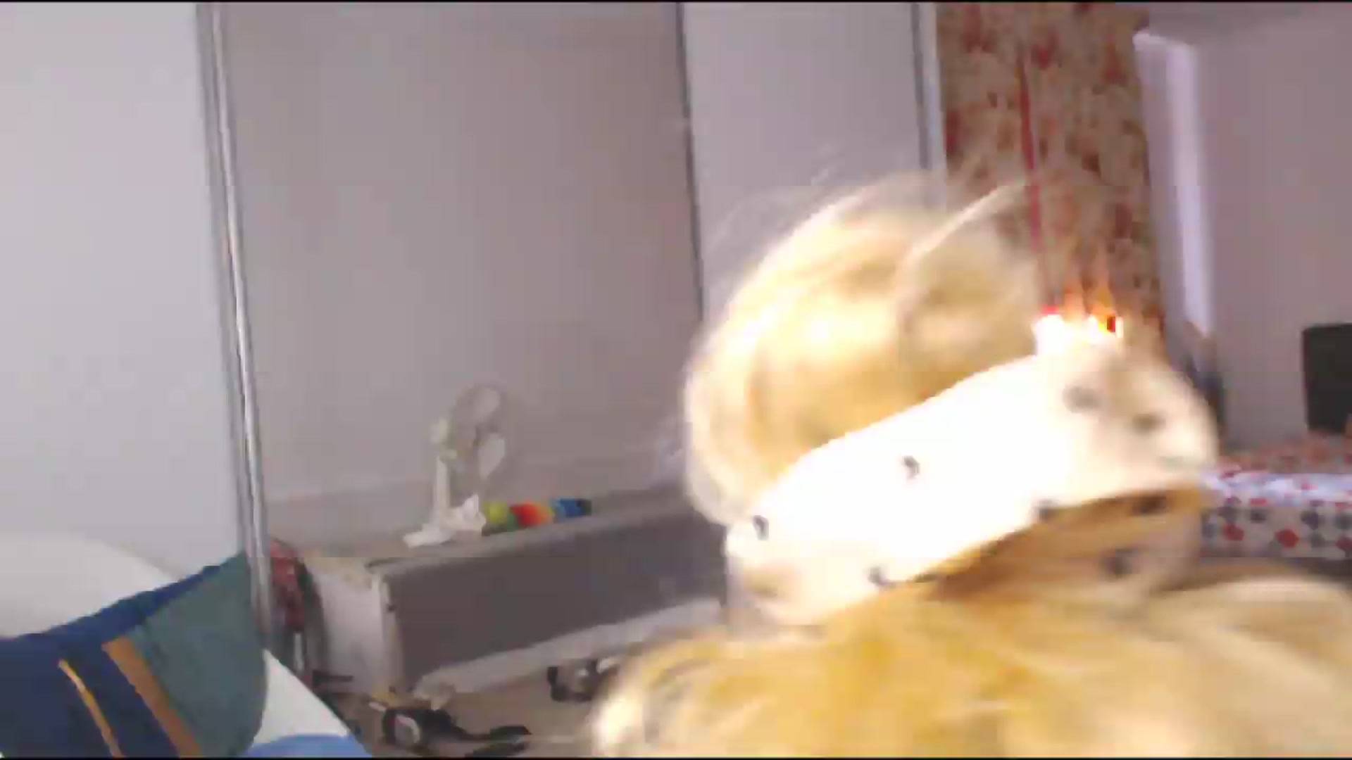 Gallery image thumbnail from Merlyn4u's myfreecams stream on, 06/24/2026, 08:54 image 12 of 20