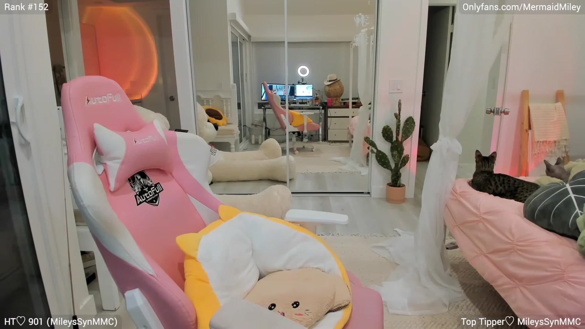 Gallery image thumbnail from Mermaidmiley's myfreecams stream on, 02/25/2023, 03:32 image 9 of 20