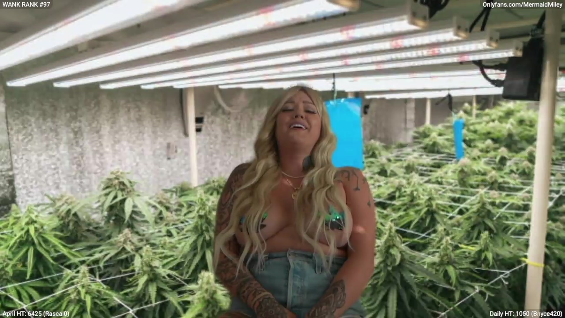 Gallery image thumbnail from Mermaidmiley's myfreecams stream on, 04/21/2026, 02:48 image 11 of 20