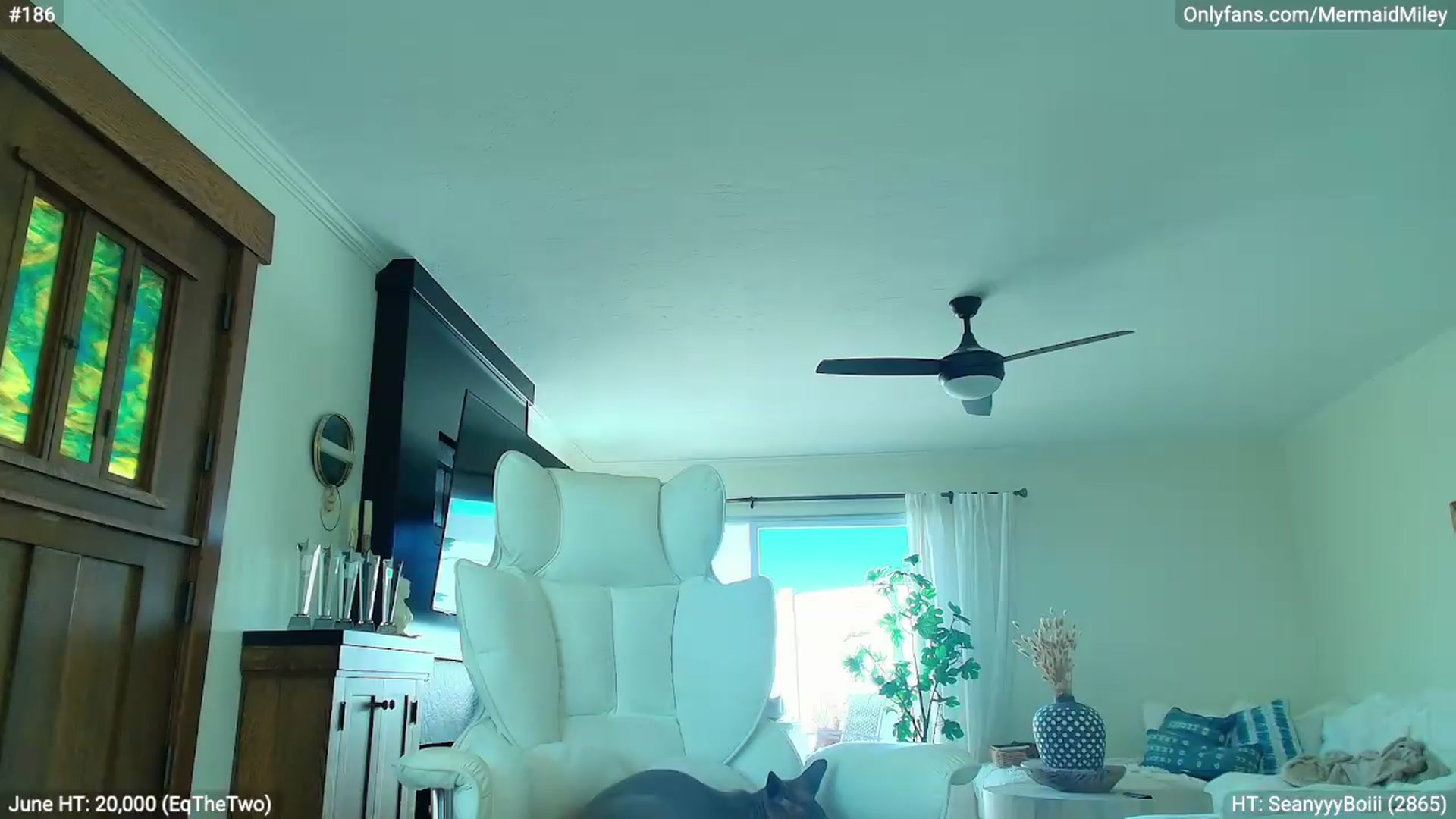 Gallery image thumbnail from Mermaidmiley's myfreecams stream on, 06/29/2026, 24:12 image 15 of 20